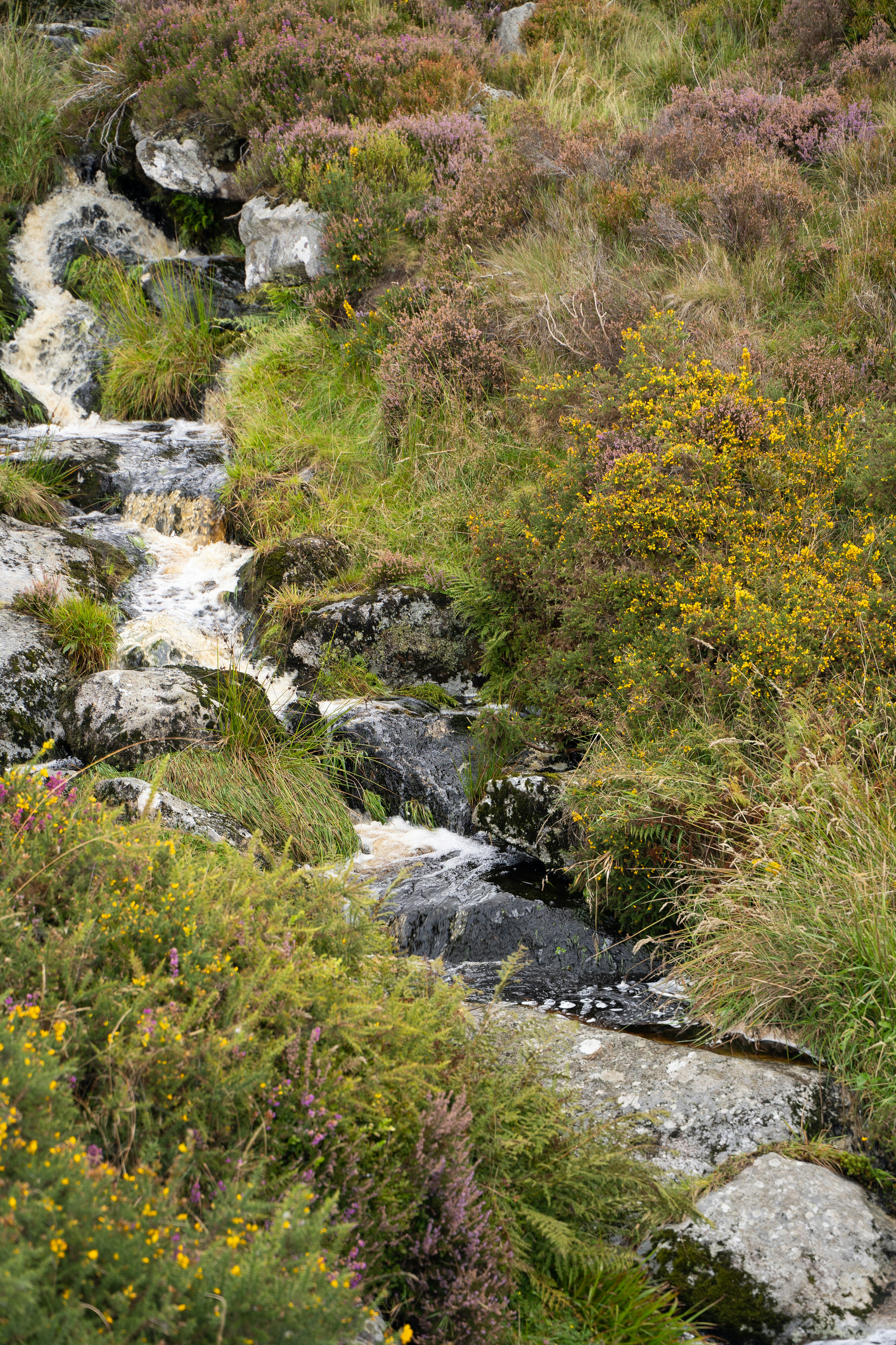 Photo by franceeesca_f