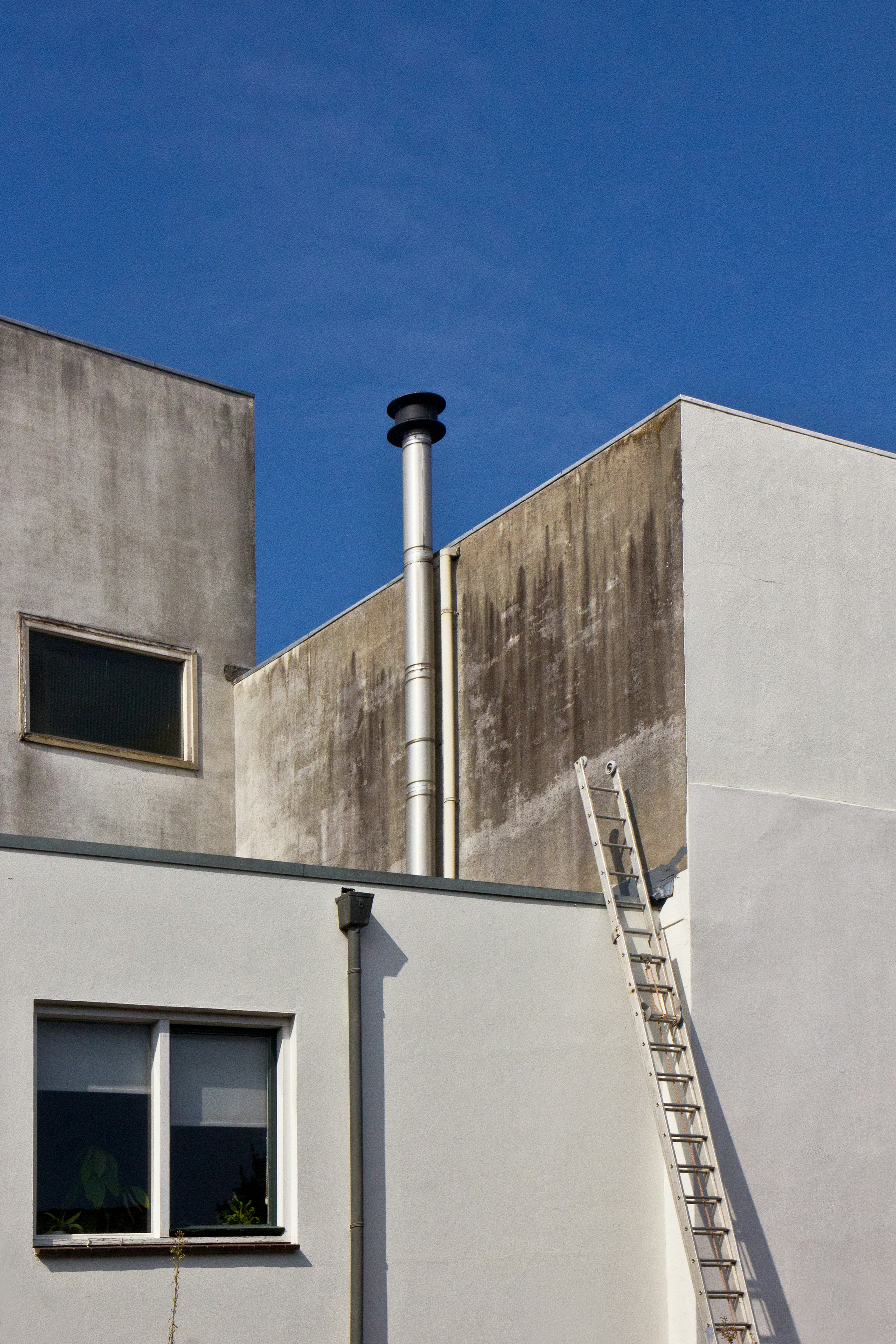 Photo by conniedevries