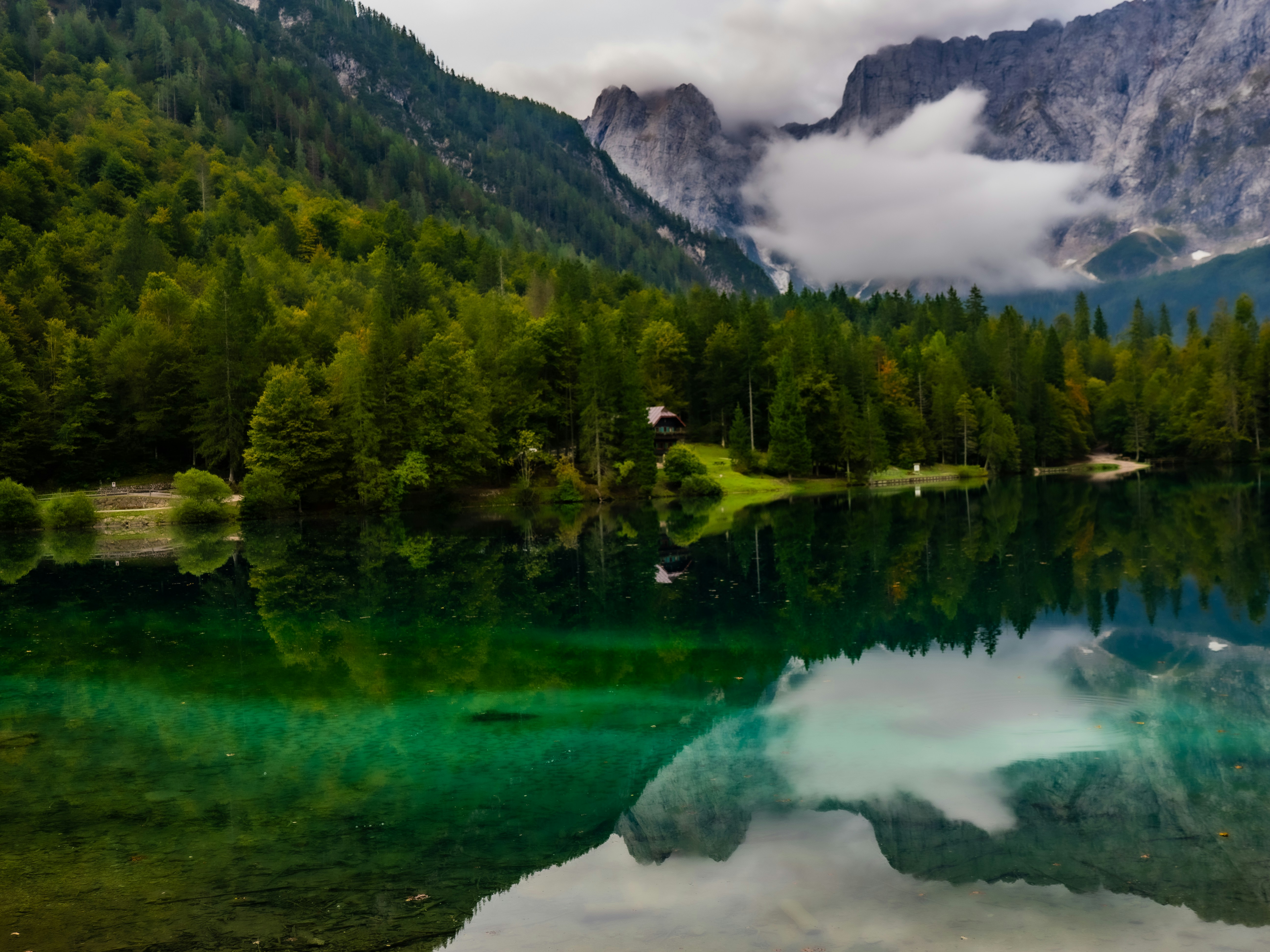 Photo by gopitri_prem