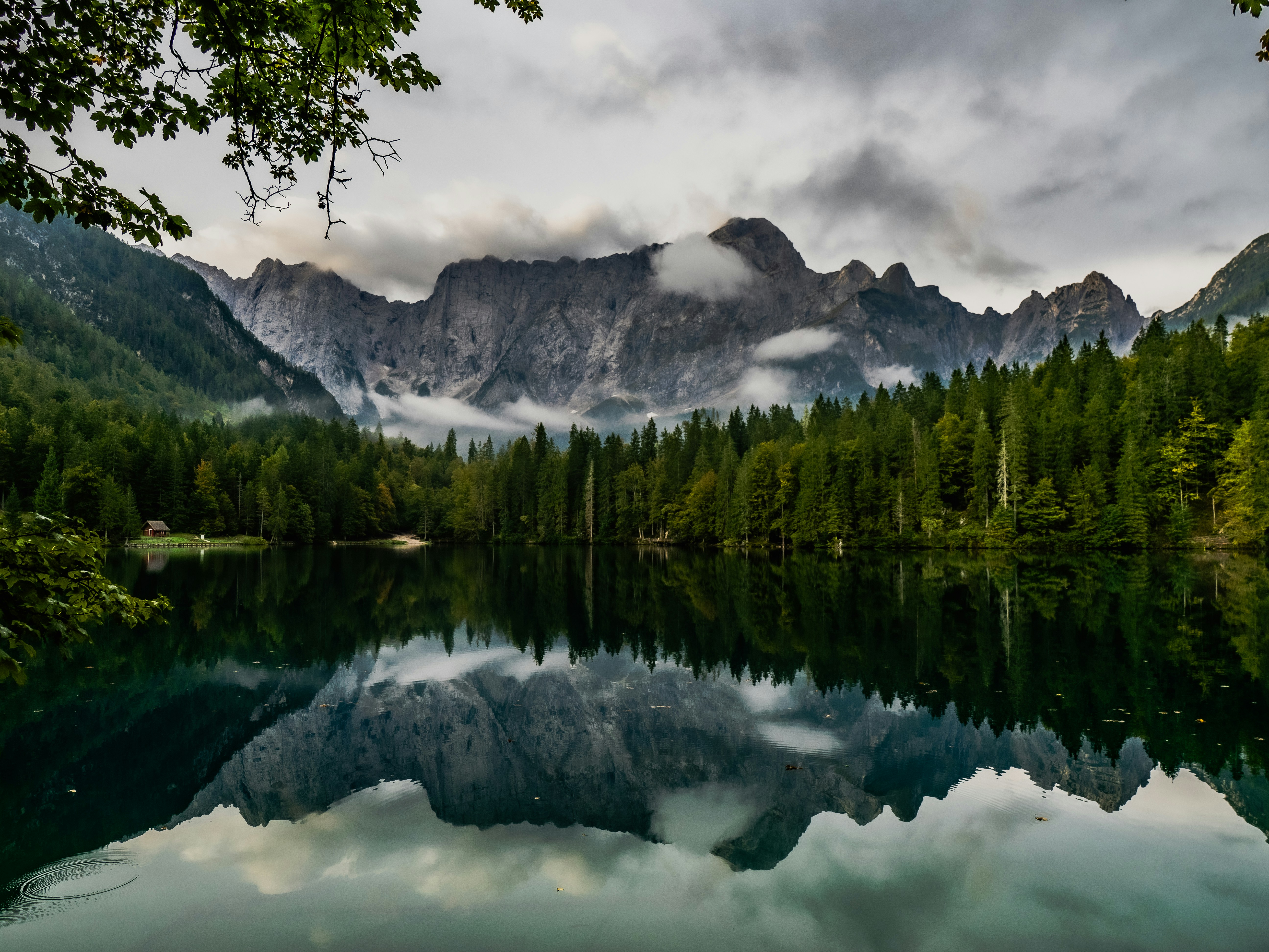 Photo by gopitri_prem