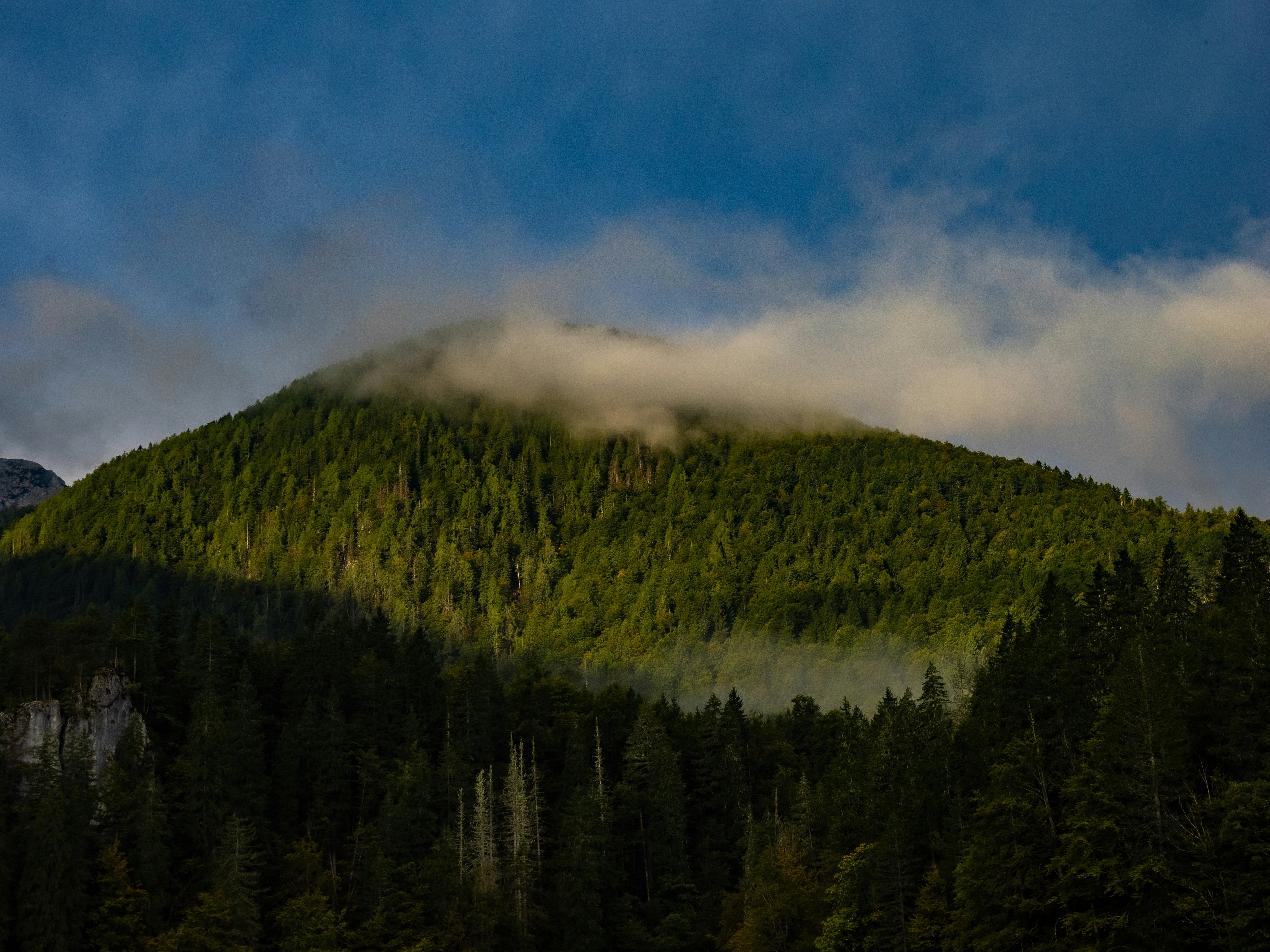 Photo by gopitri_prem