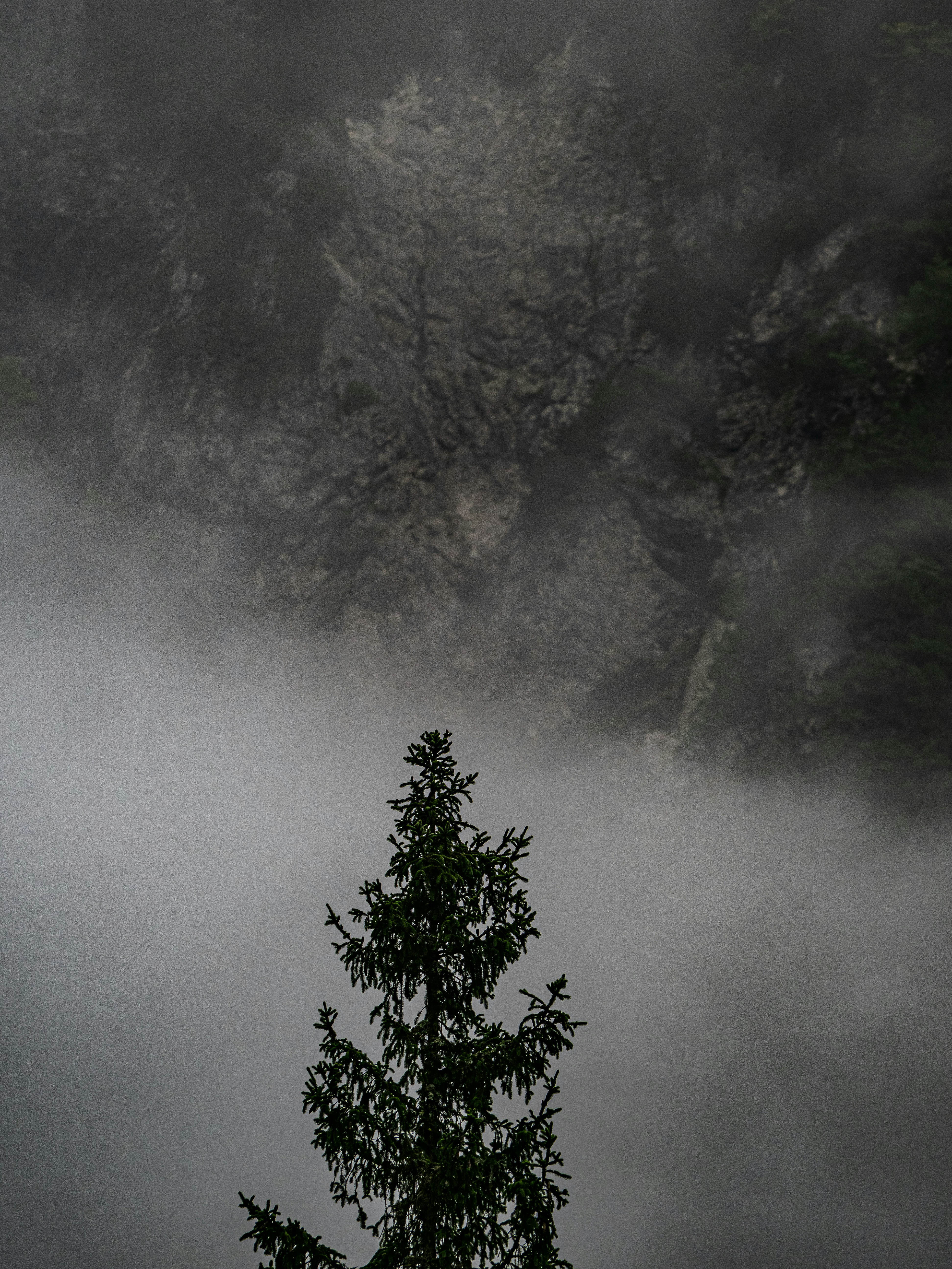 Photo by gopitri_prem