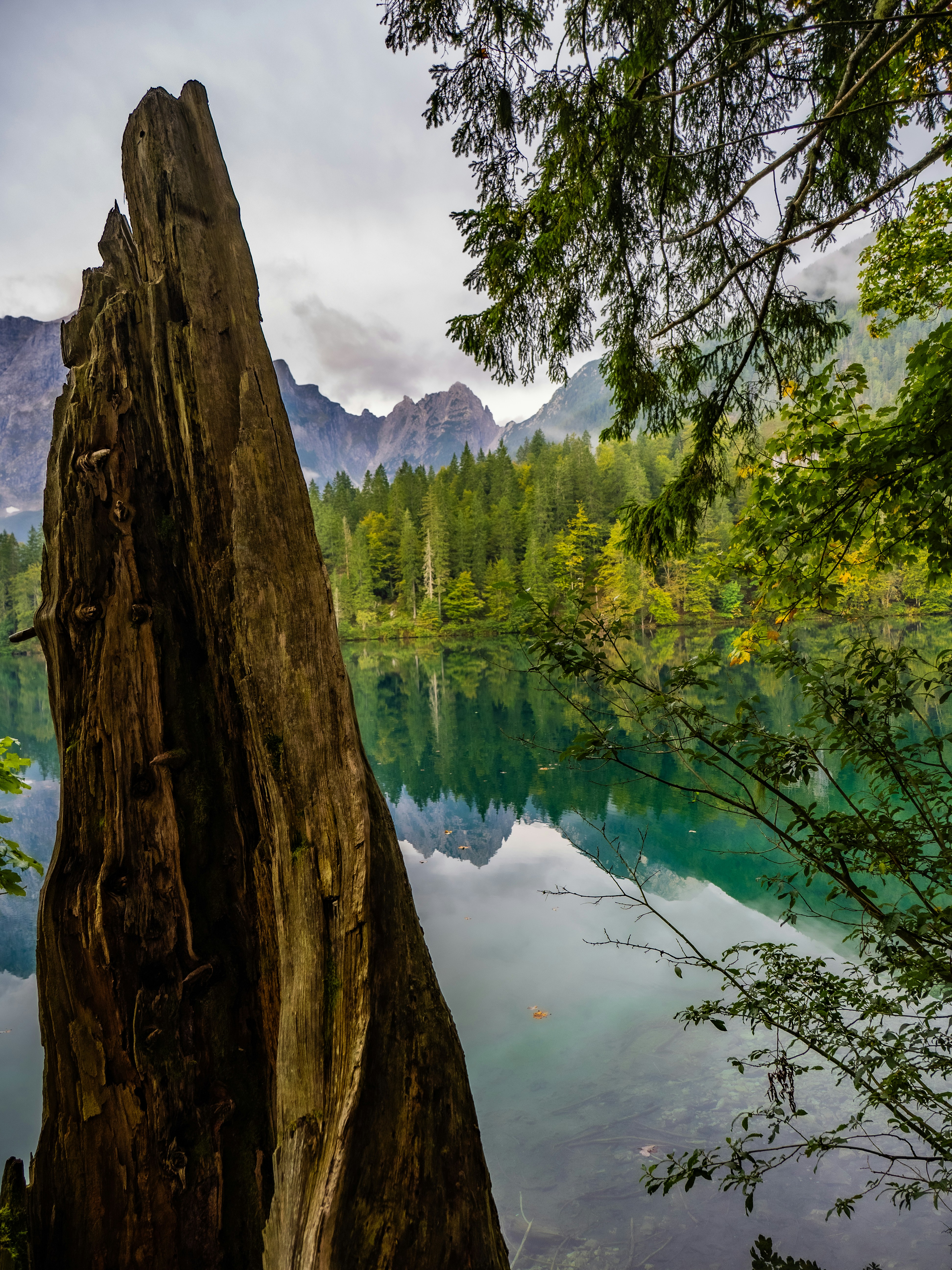 Photo by gopitri_prem