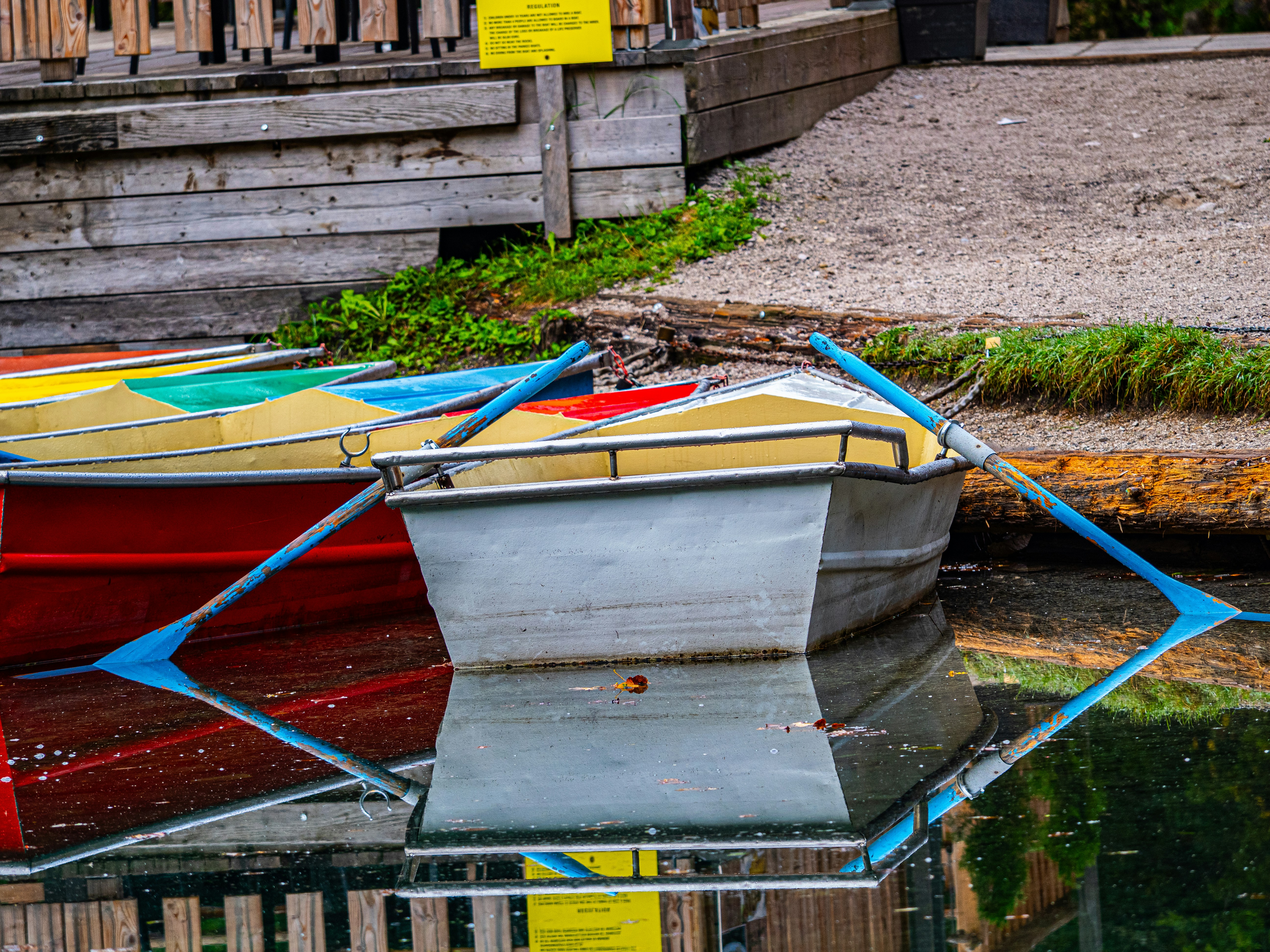 Photo by gopitri_prem