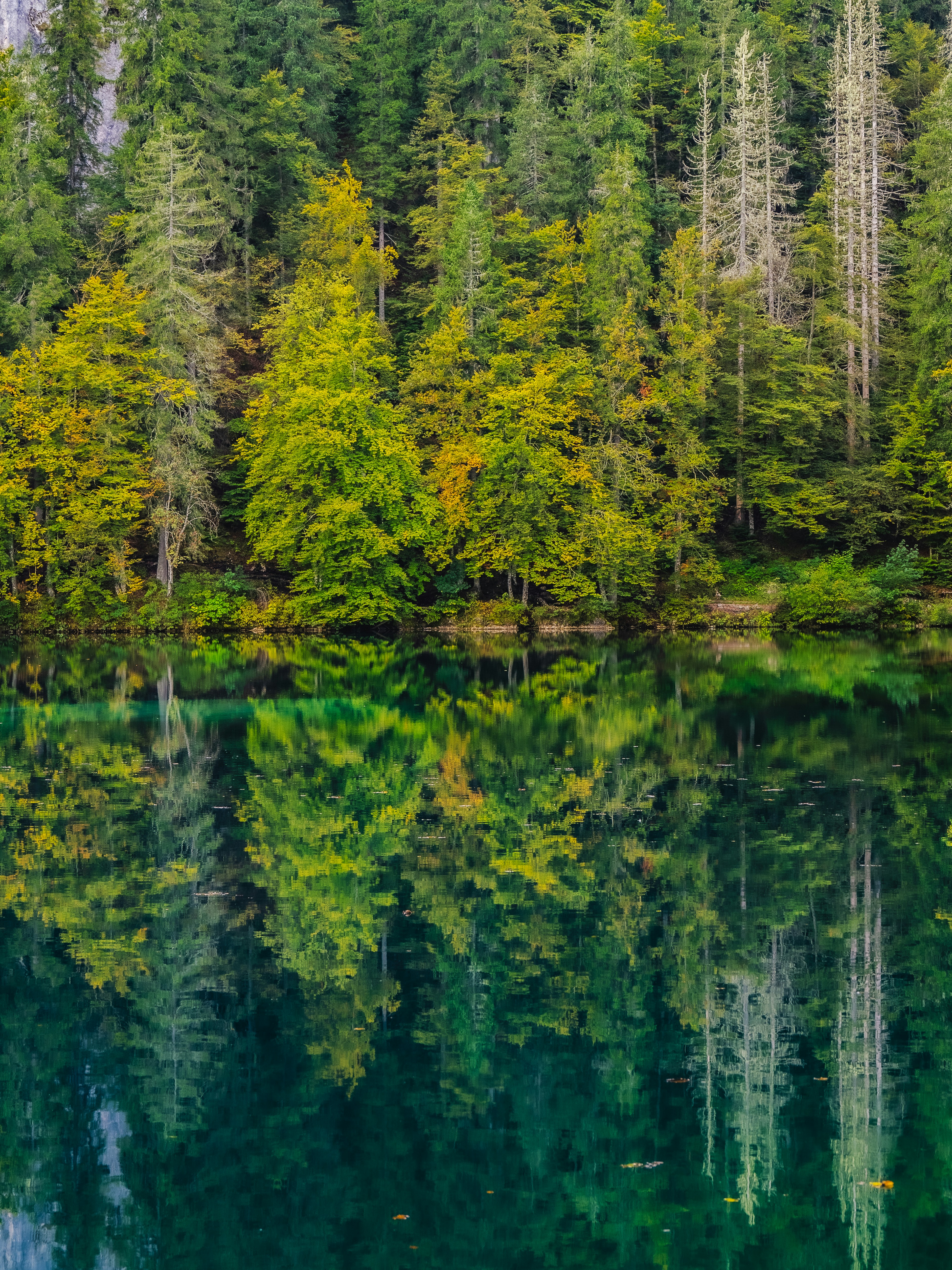 Photo by gopitri_prem