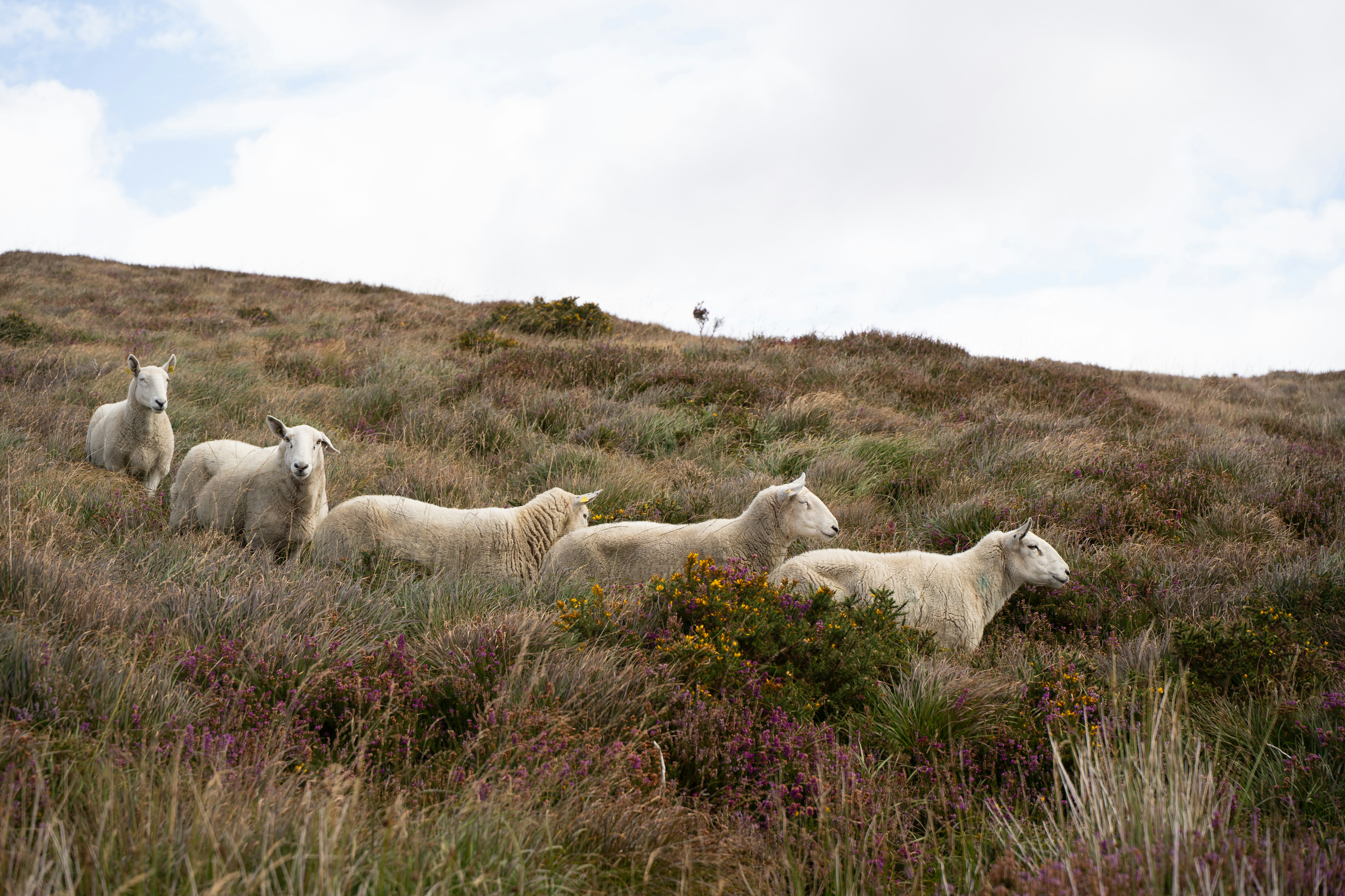 Photo by franceeesca_f