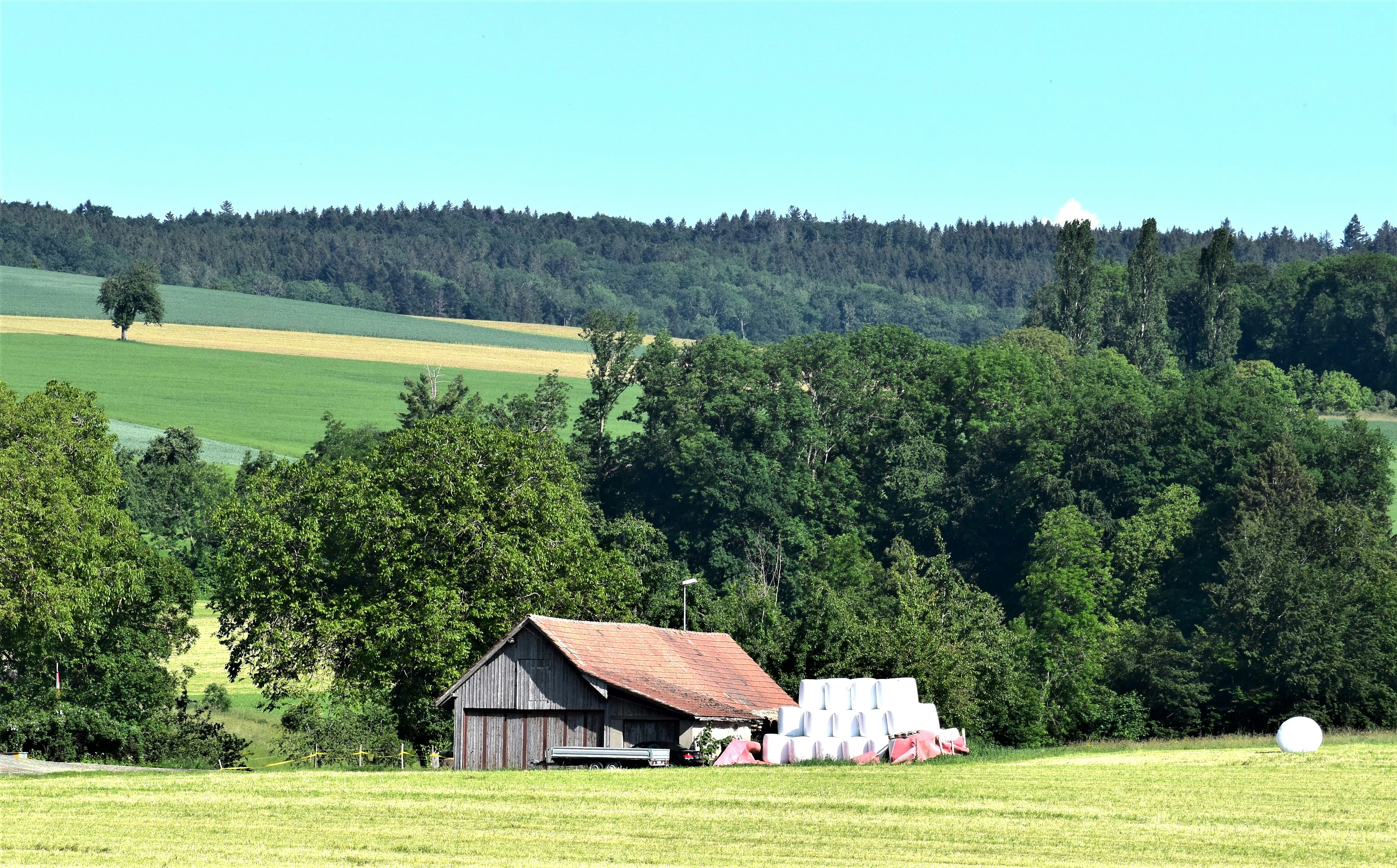 Photo by danielelarosa