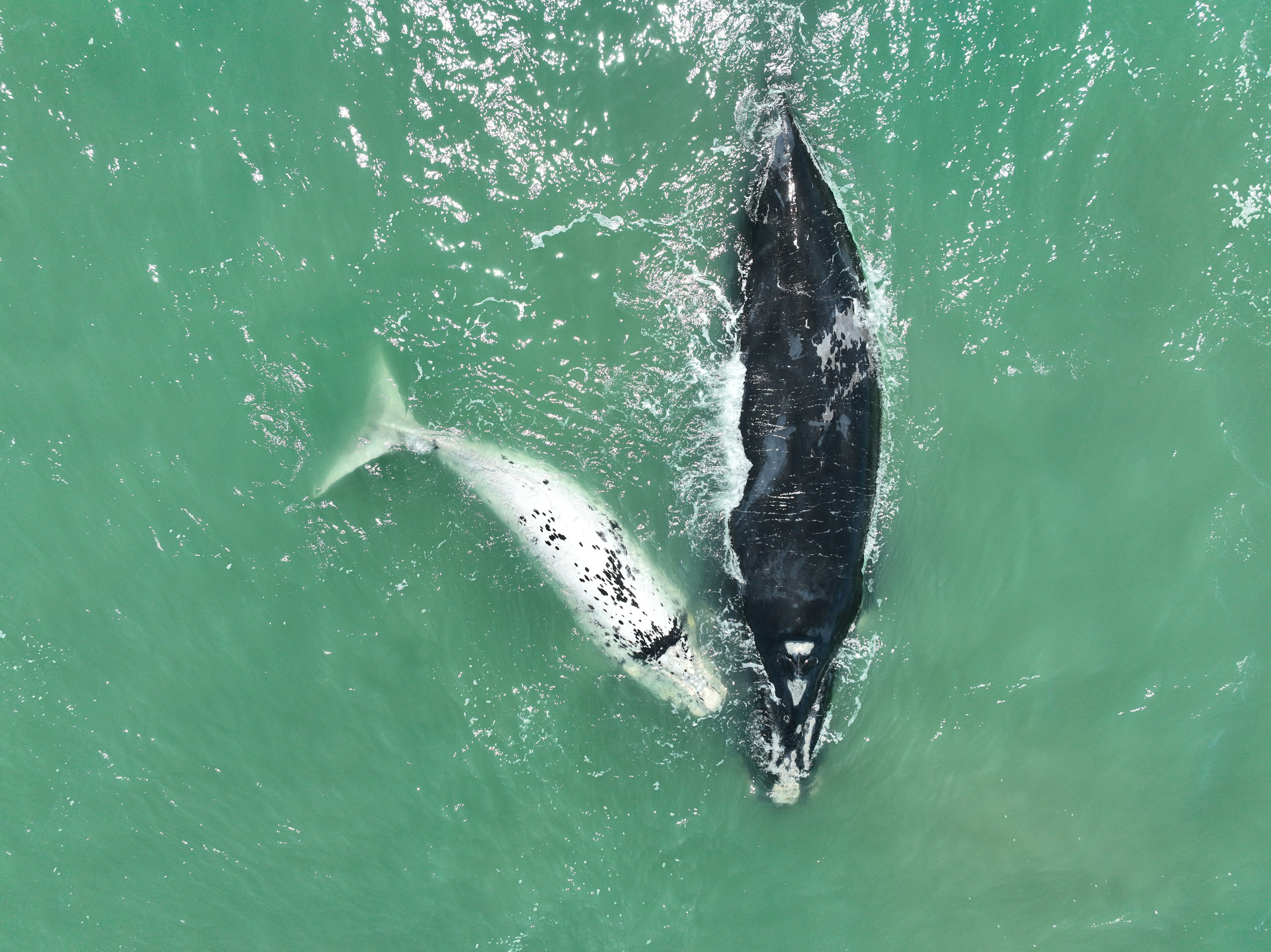 Photo by wolfgangrichardunger