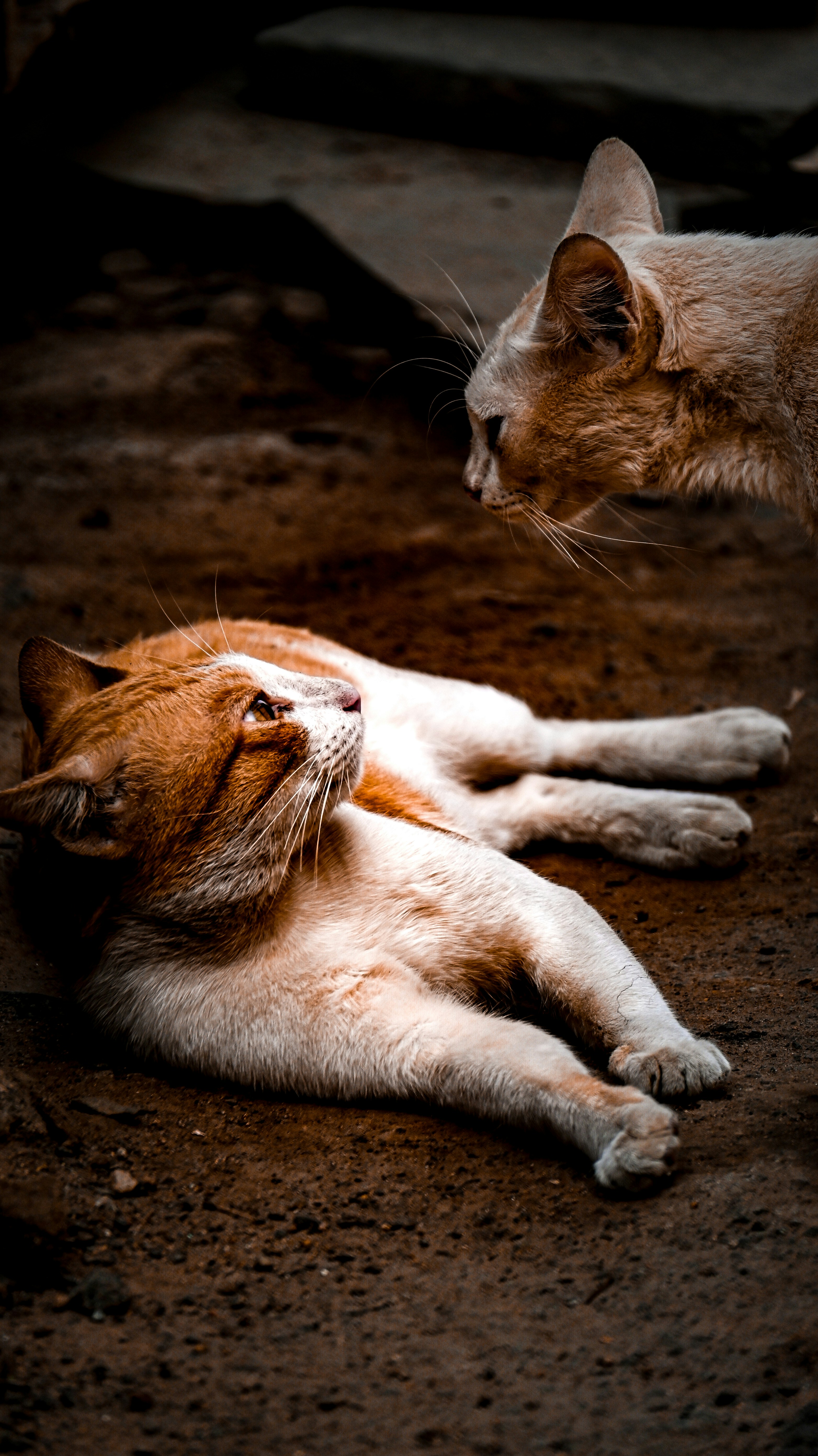 Photo by the_soulforged_sage