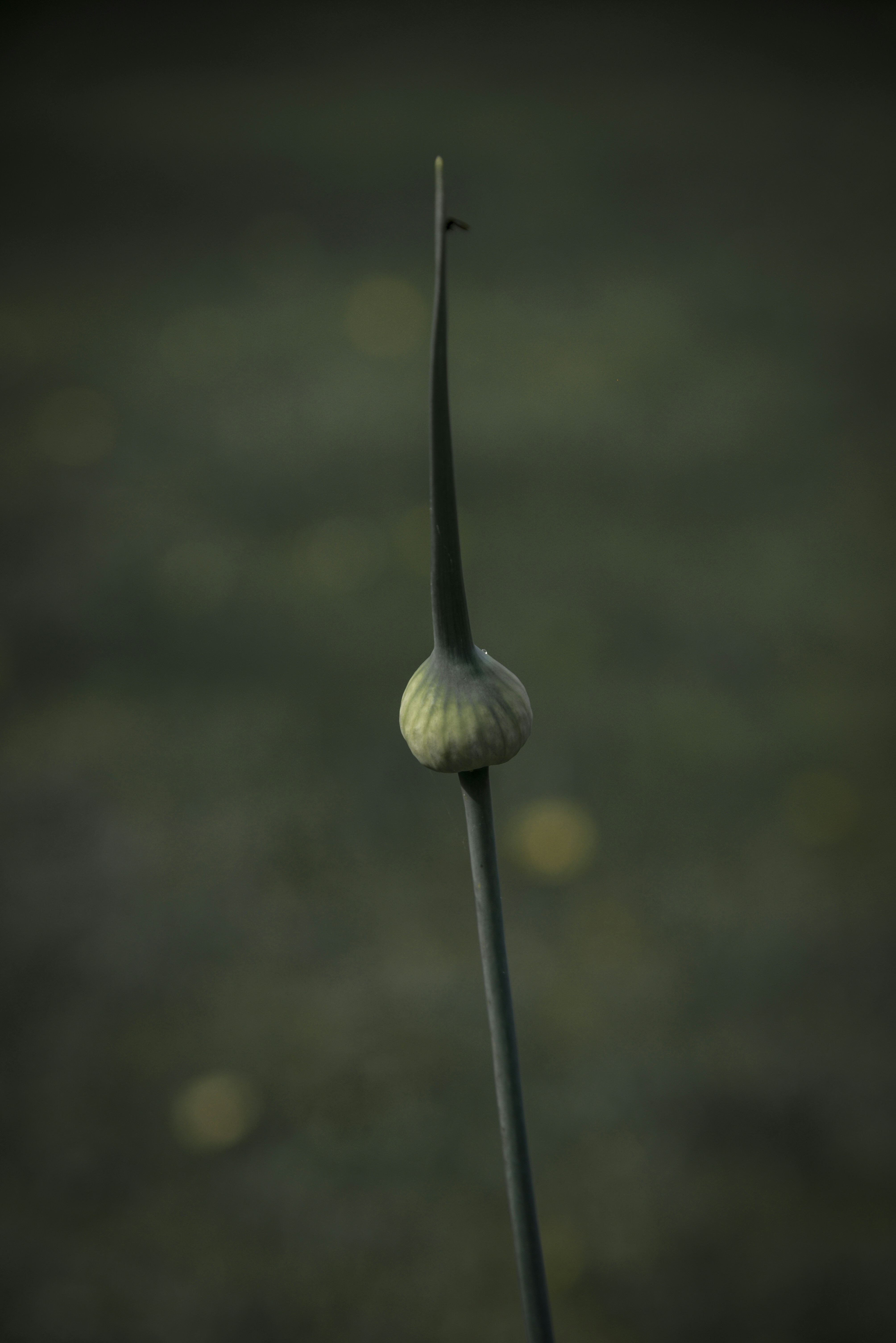 Photo by malwinanogaj