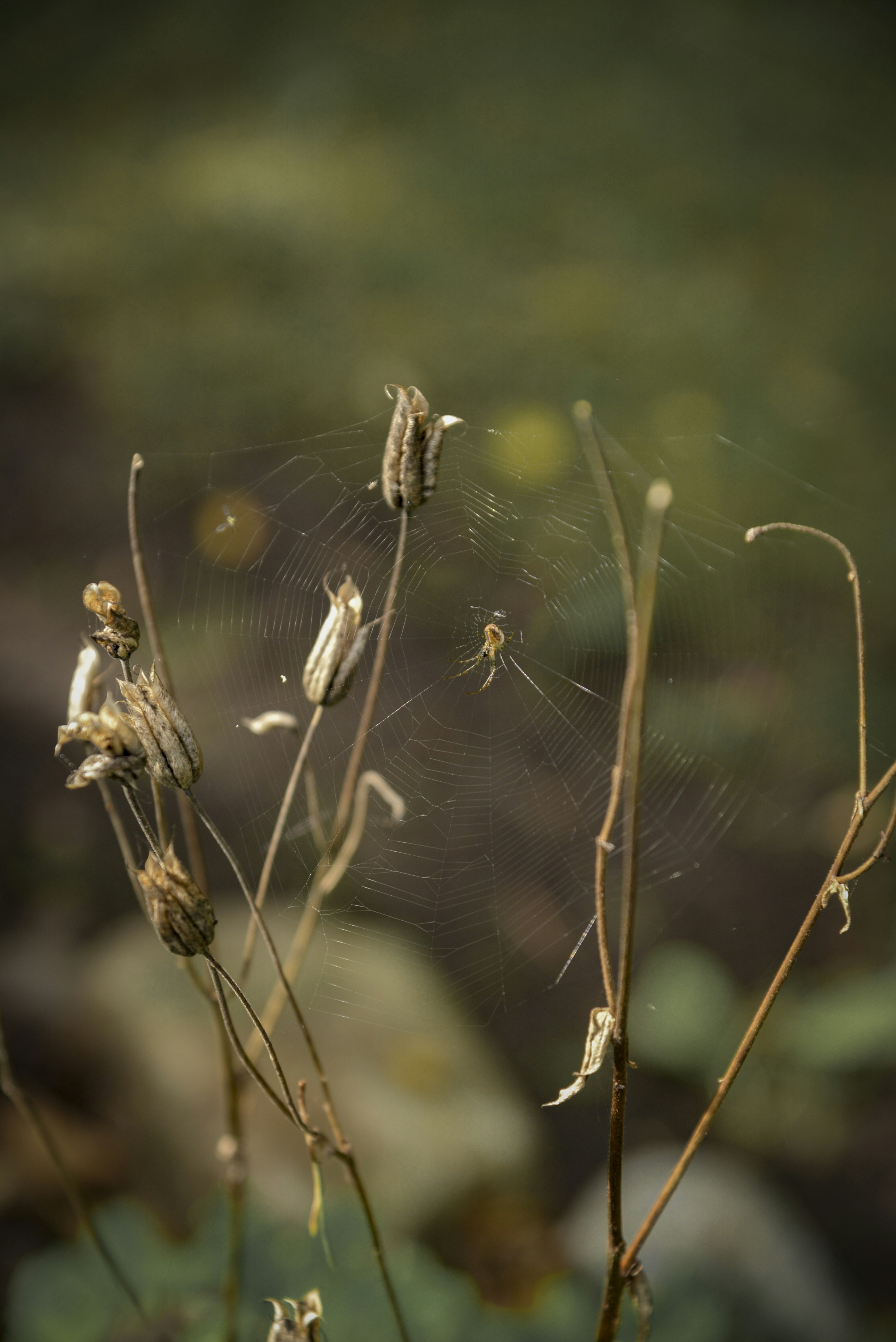 Photo by malwinanogaj