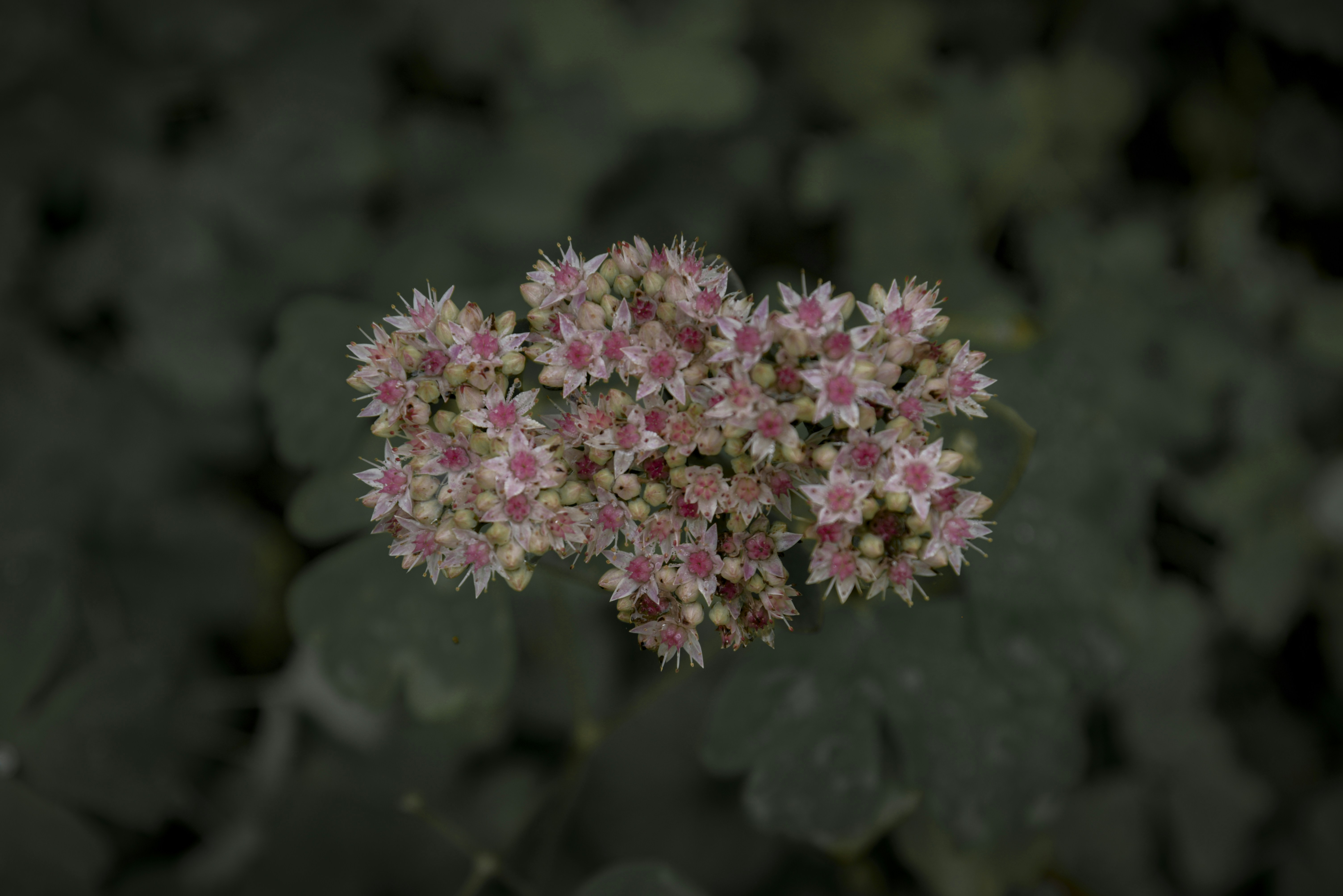 Photo by malwinanogaj