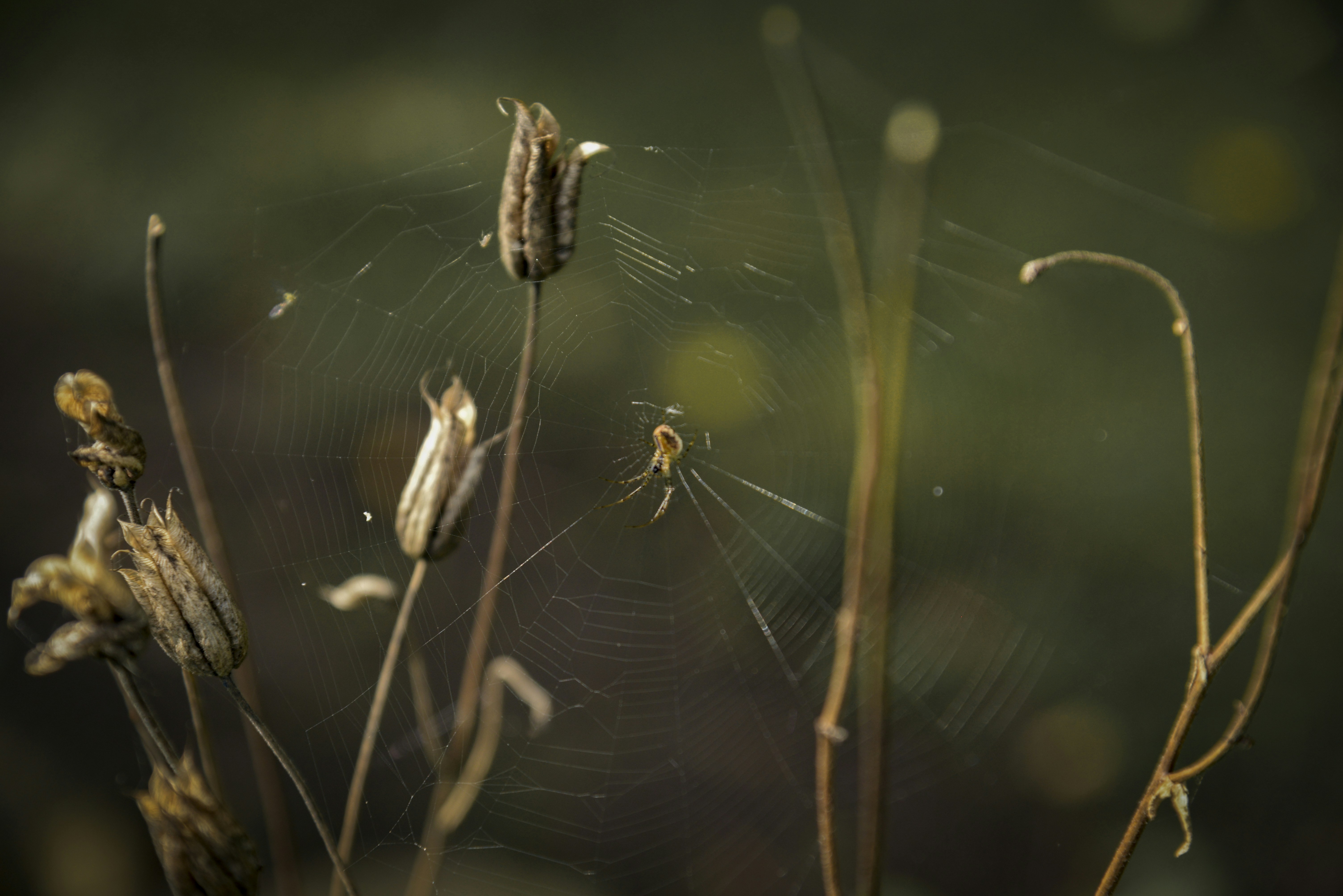 Photo by malwinanogaj