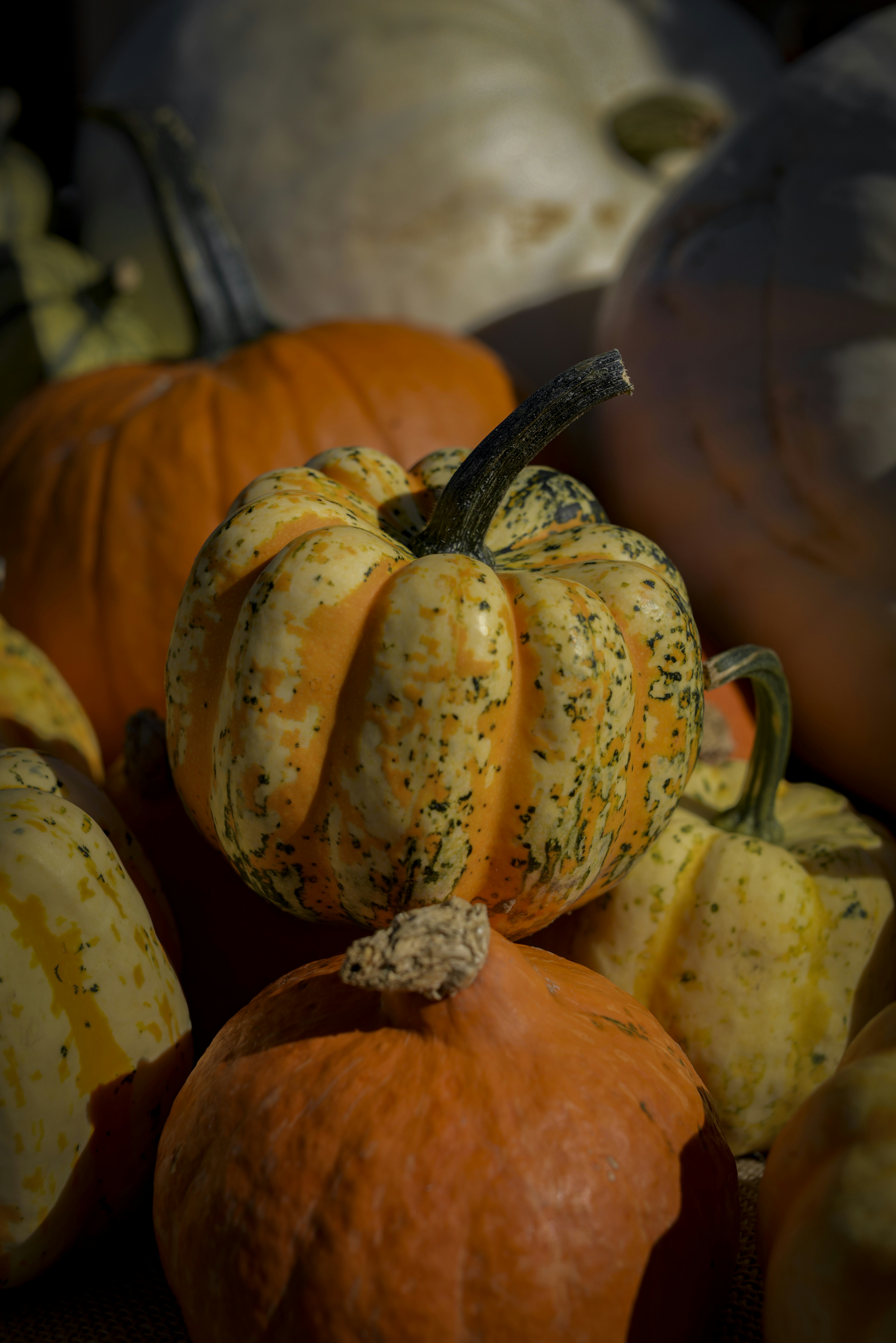 Photo by malwinanogaj