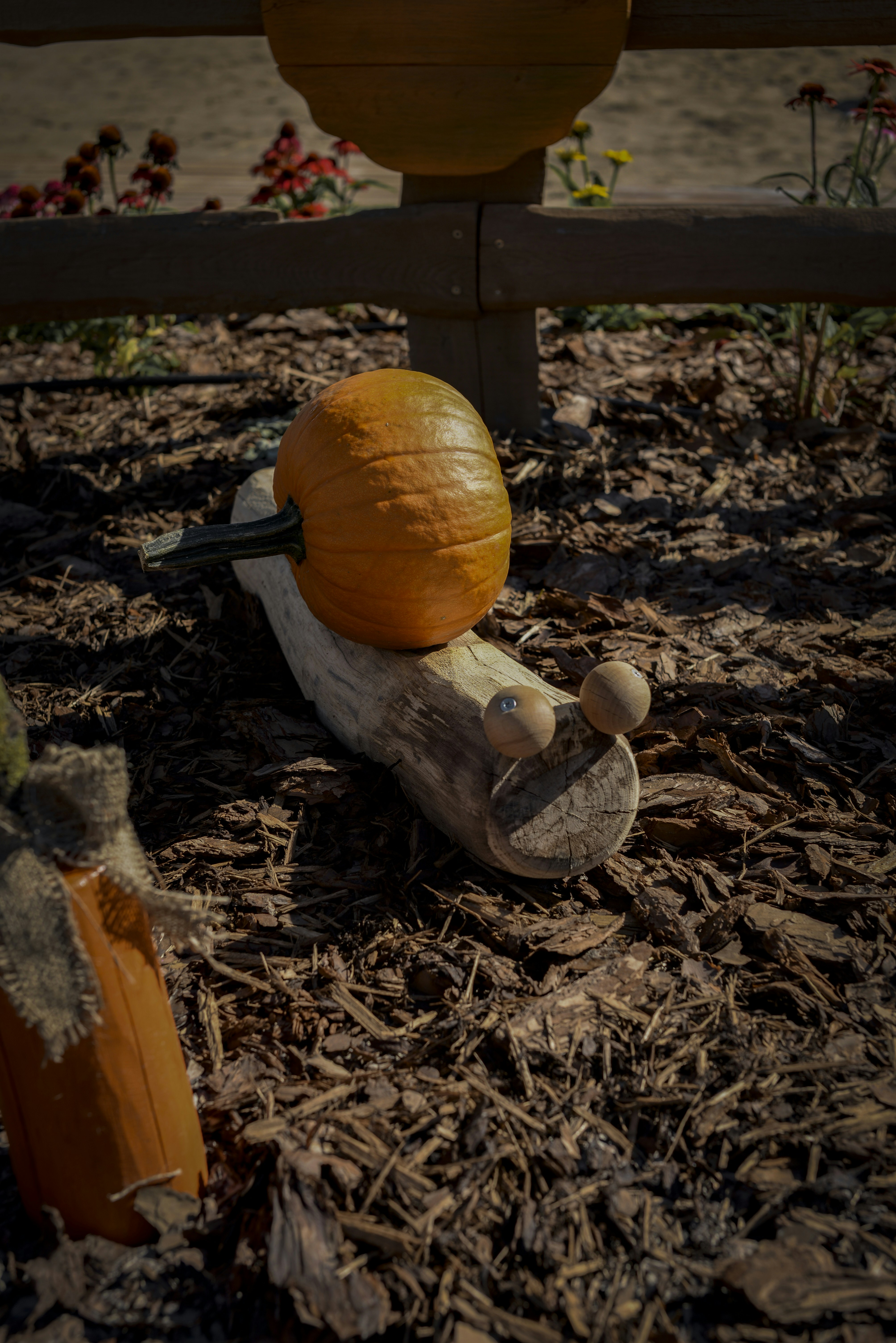 Person using a power drill to carve a pumpkin