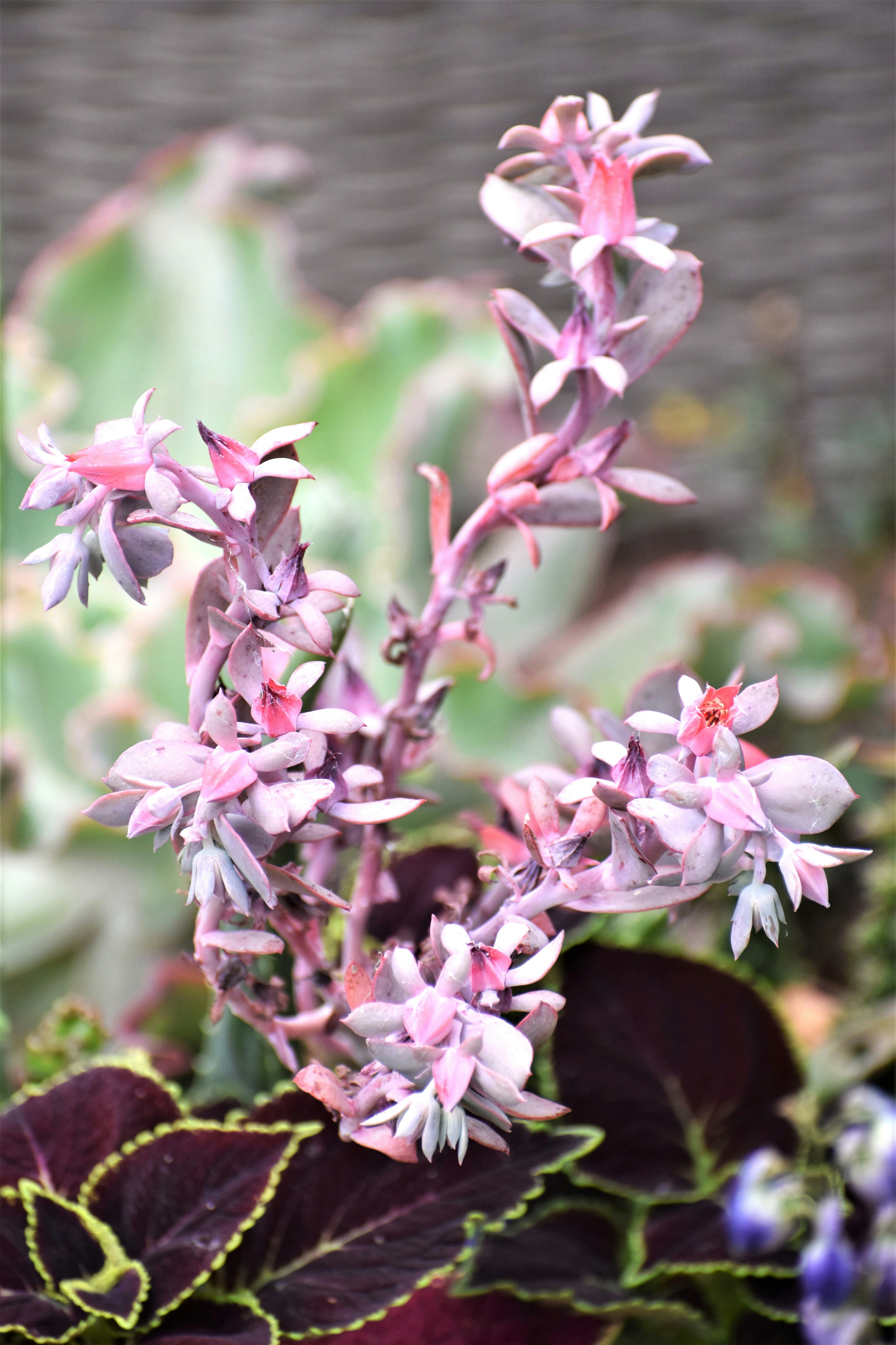 Photo by danielelarosa