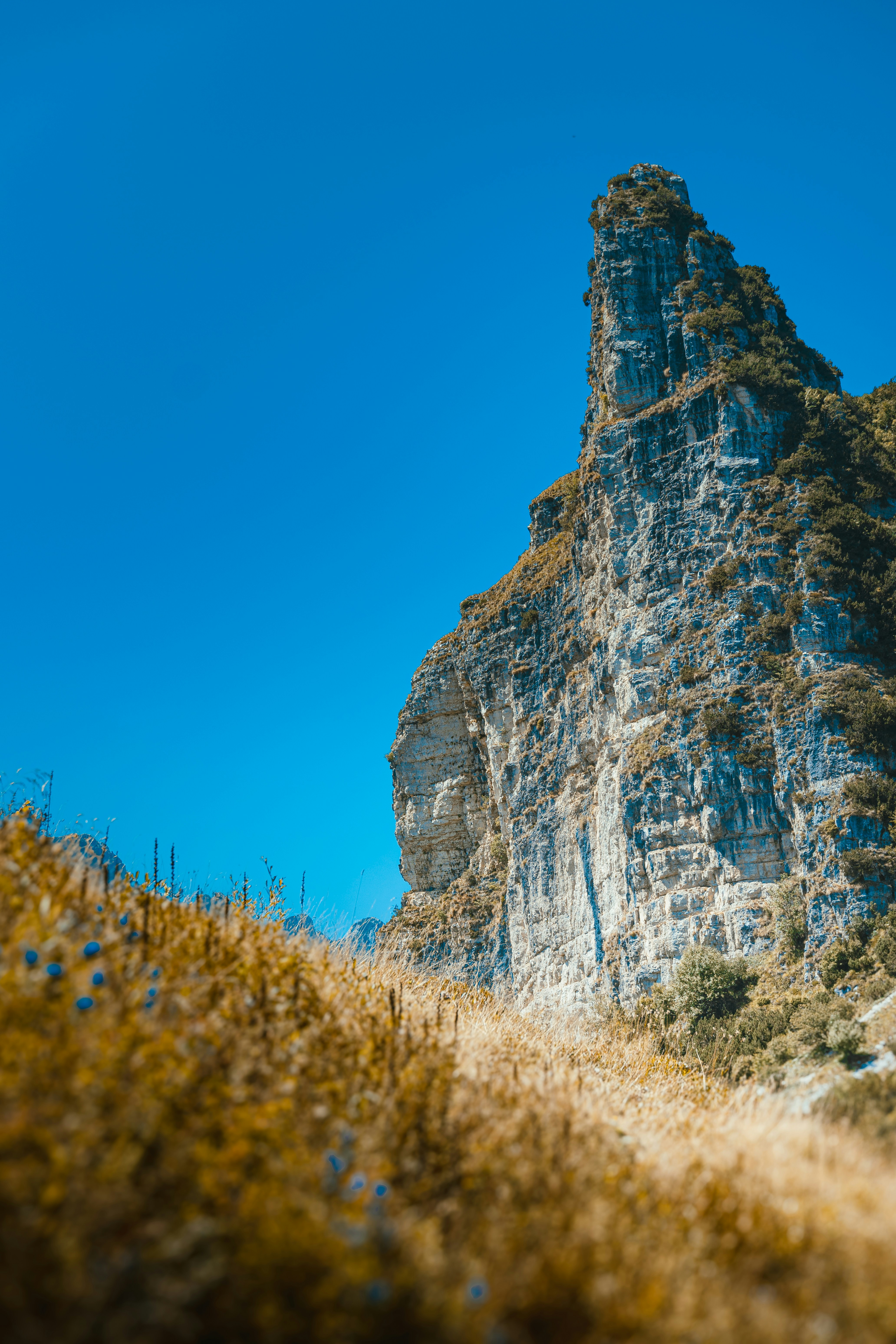 Photo by eliamassignan