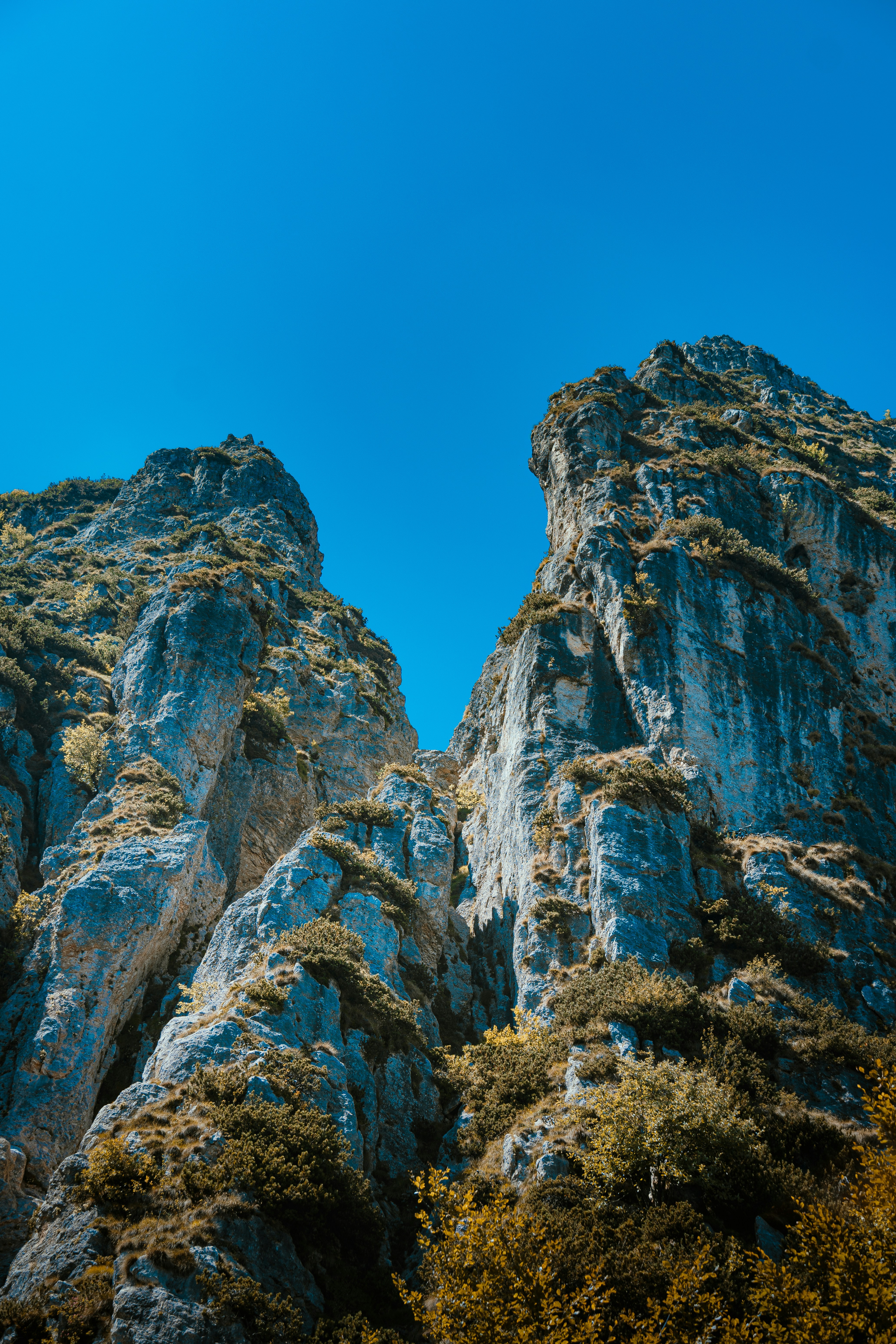 Photo by eliamassignan