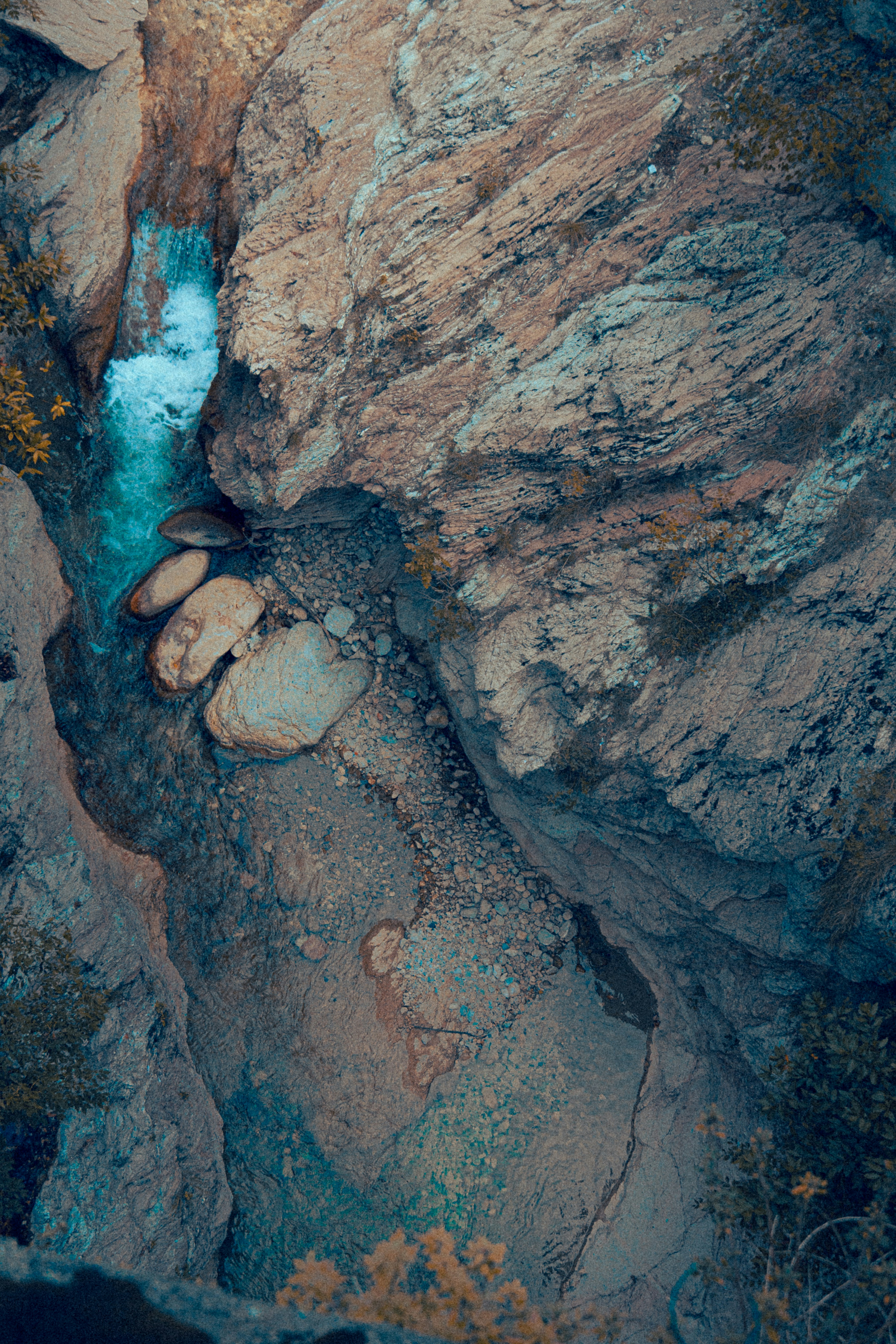 Photo by eliamassignan