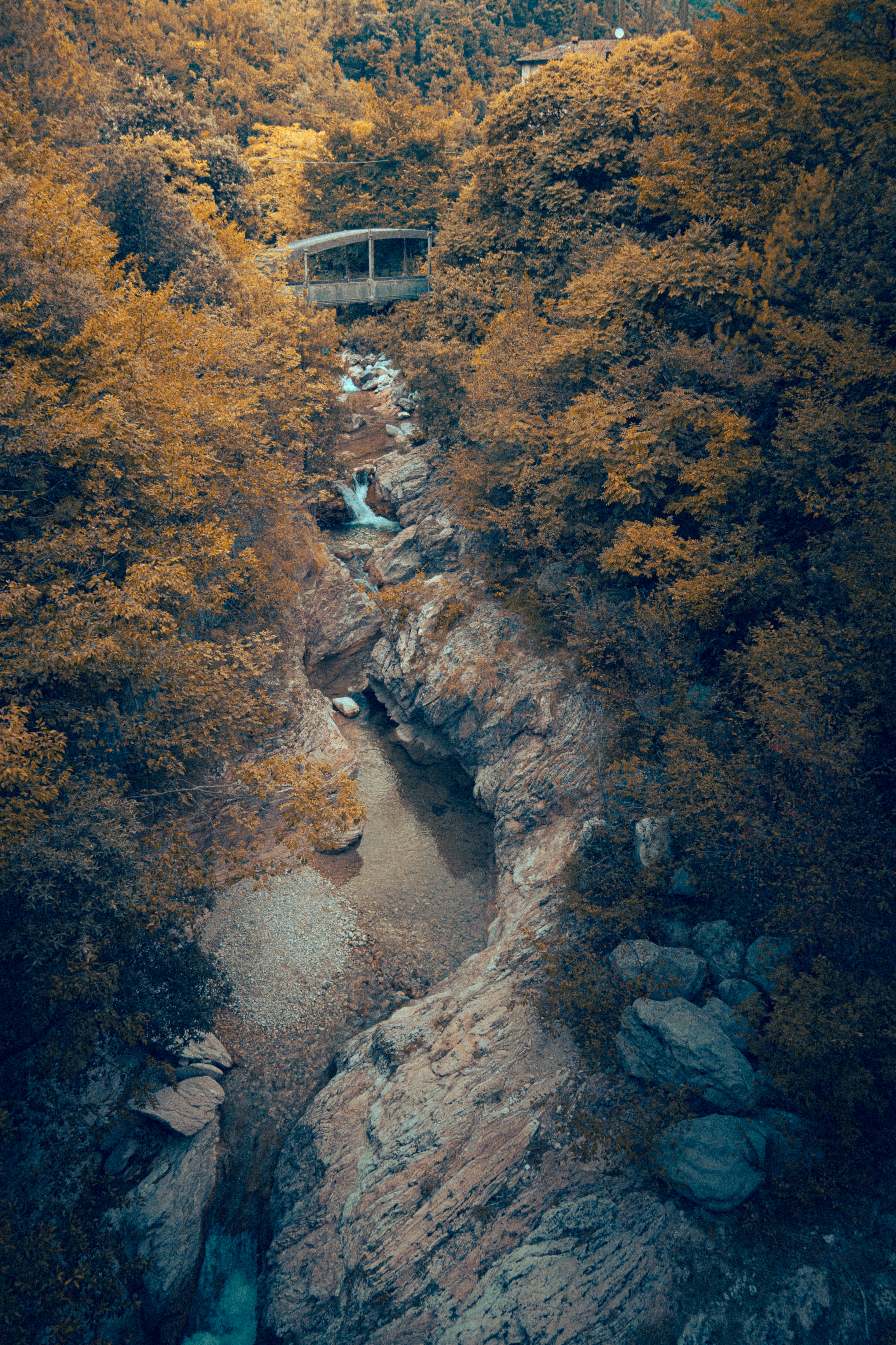 Photo by eliamassignan