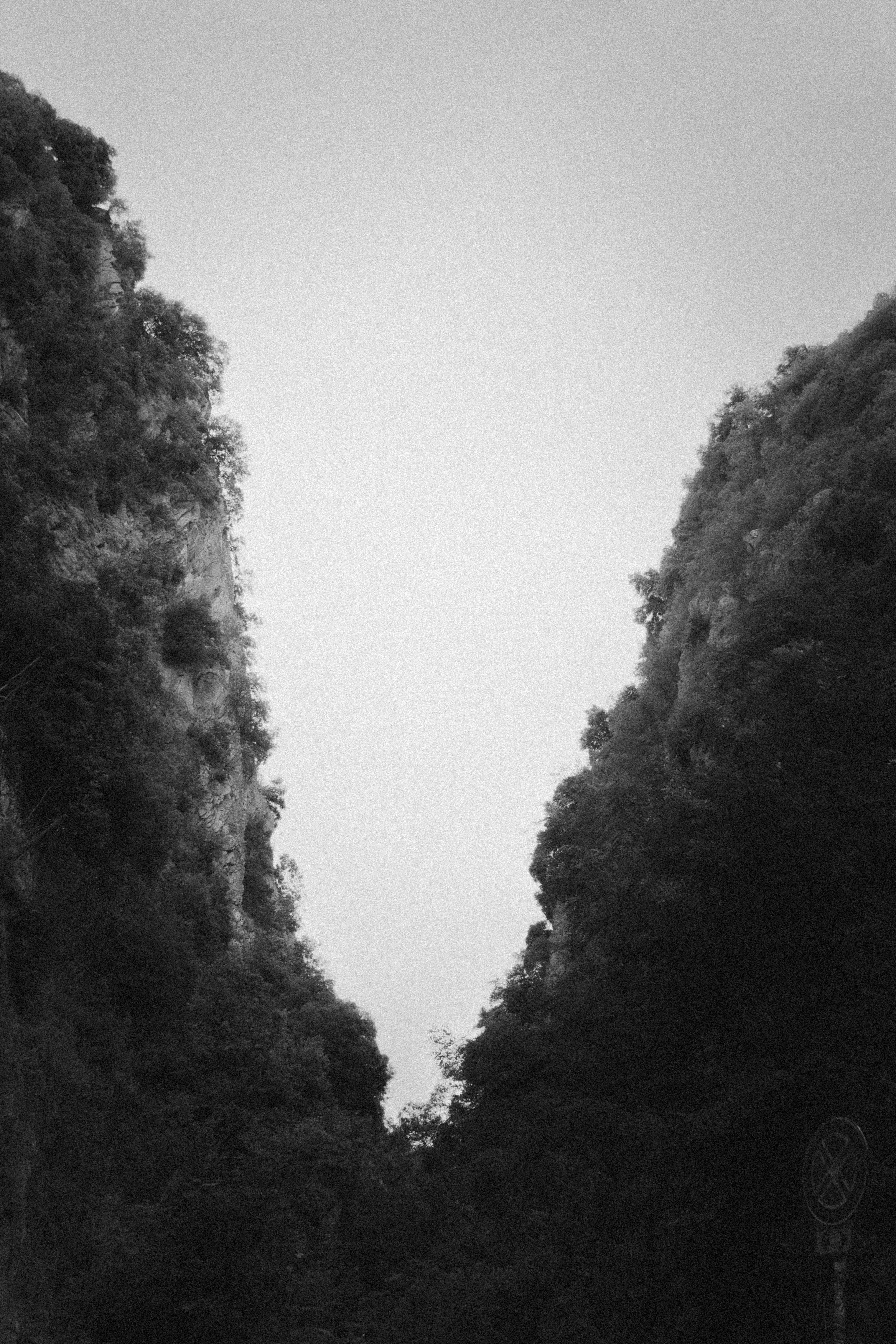 Photo by eliamassignan