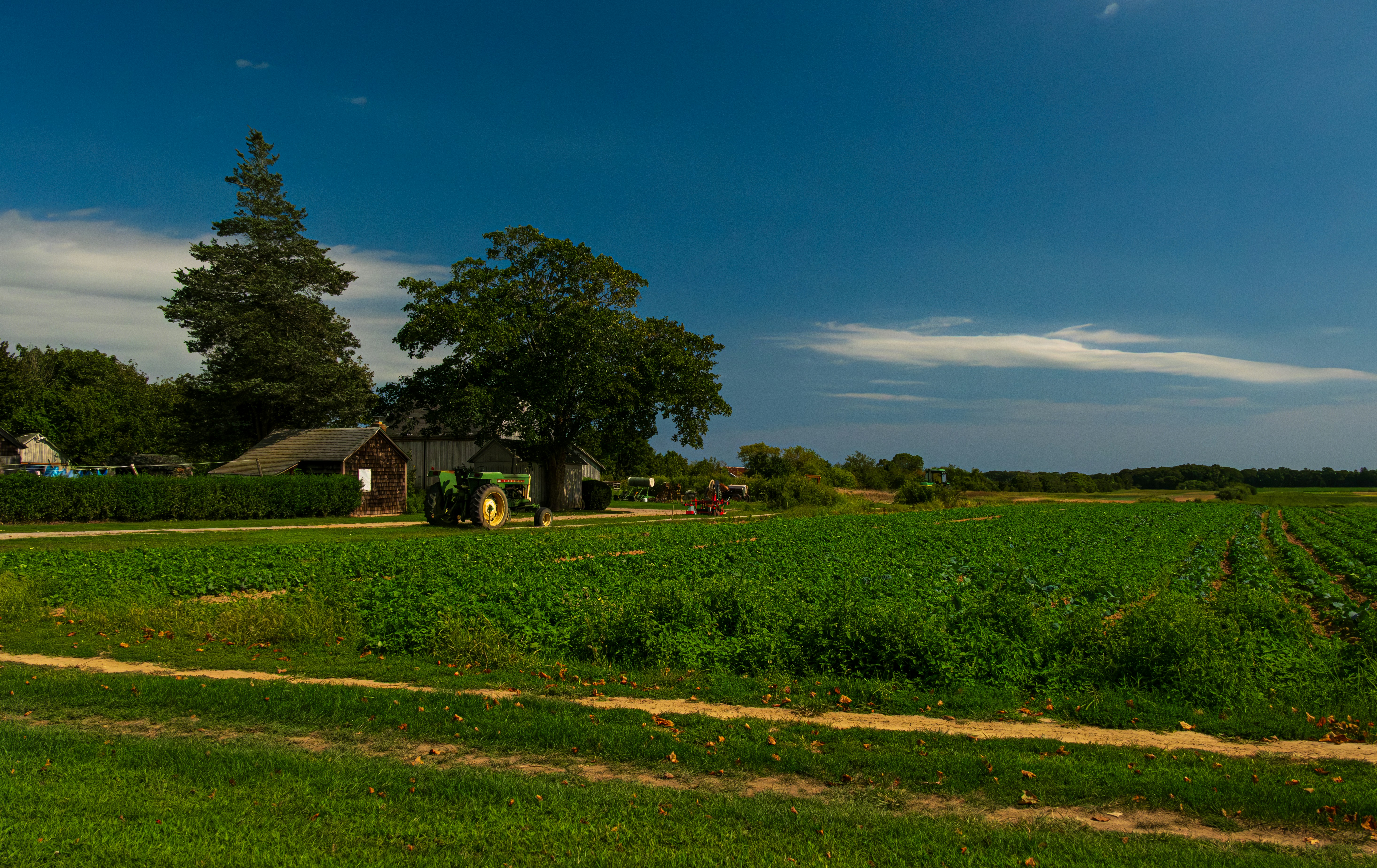 Troutbeck, Zimbabwe - None