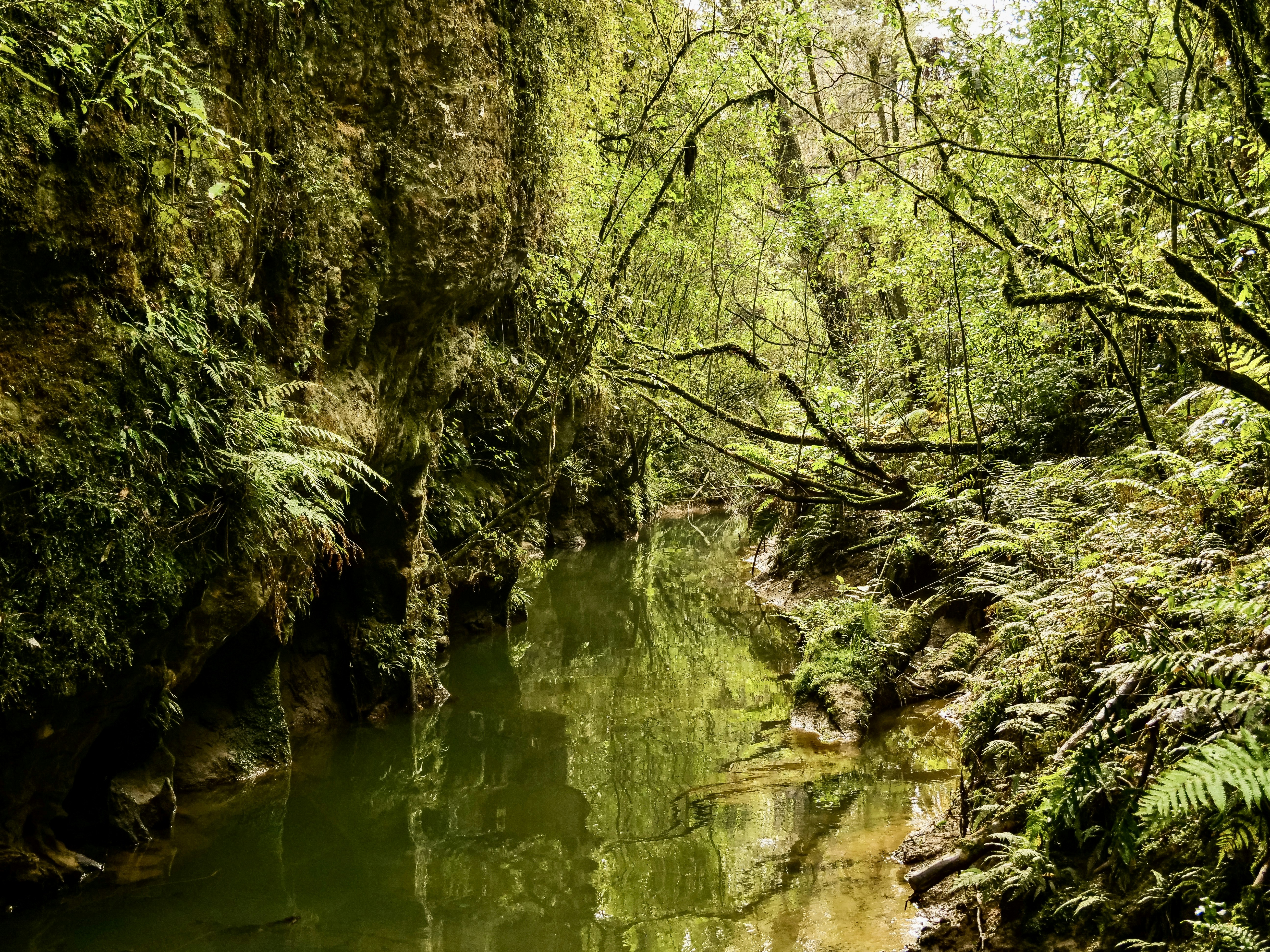 Photo by sschusterphotoart