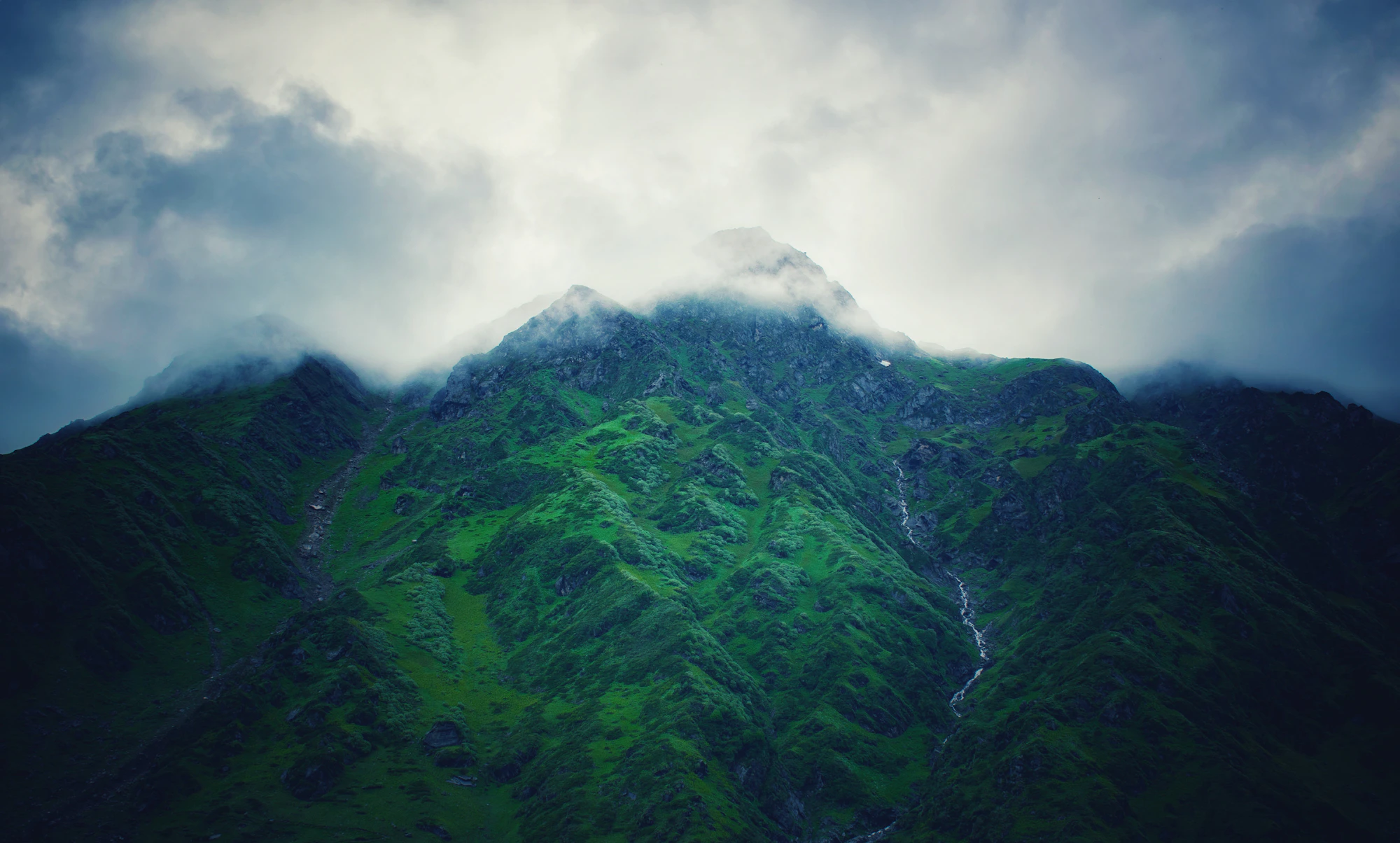 A lush green mountain disappearing into mist.