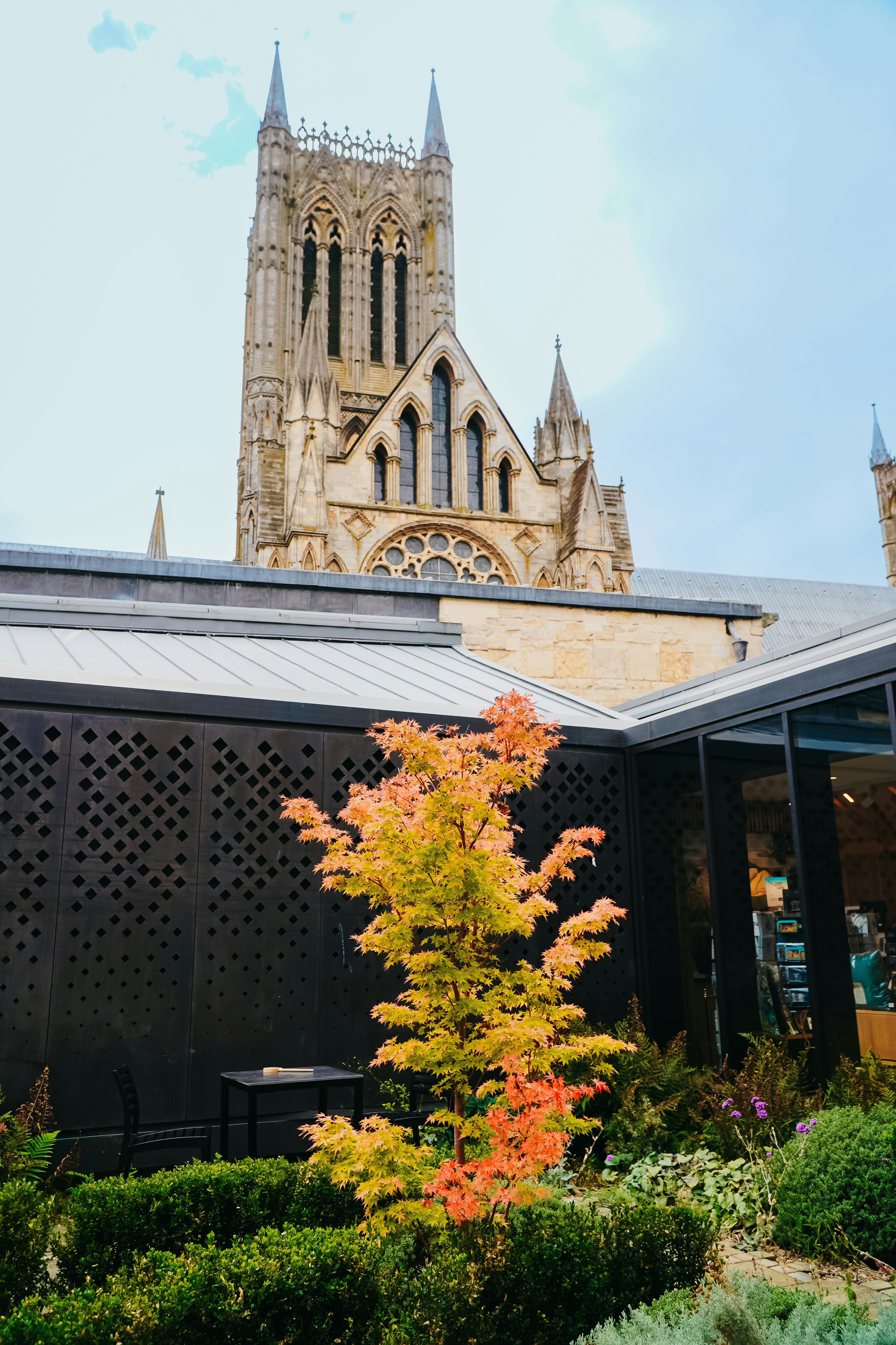 Gothic cathedral tower behind a colorful autumn tree.