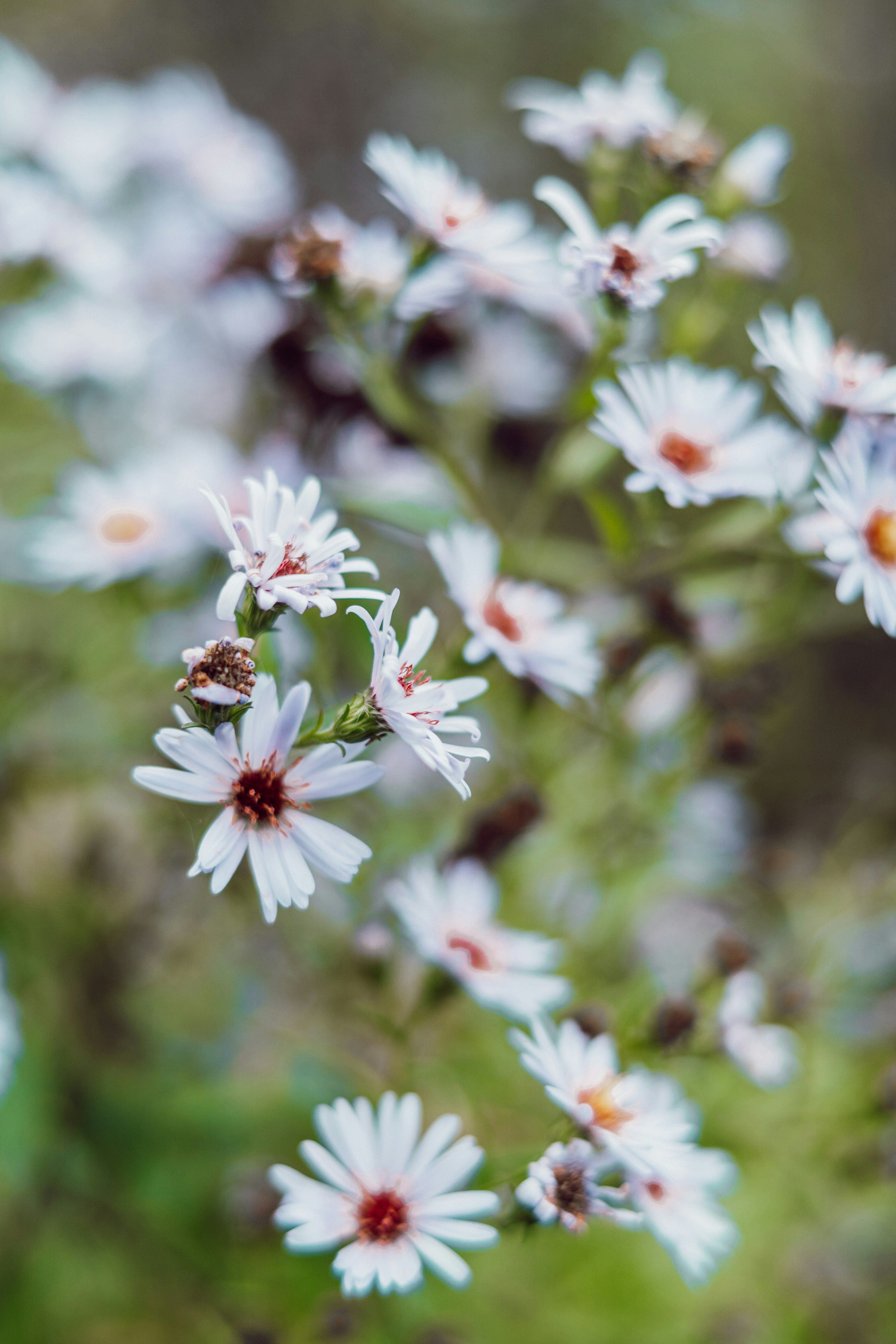 Photo by anamnesis33