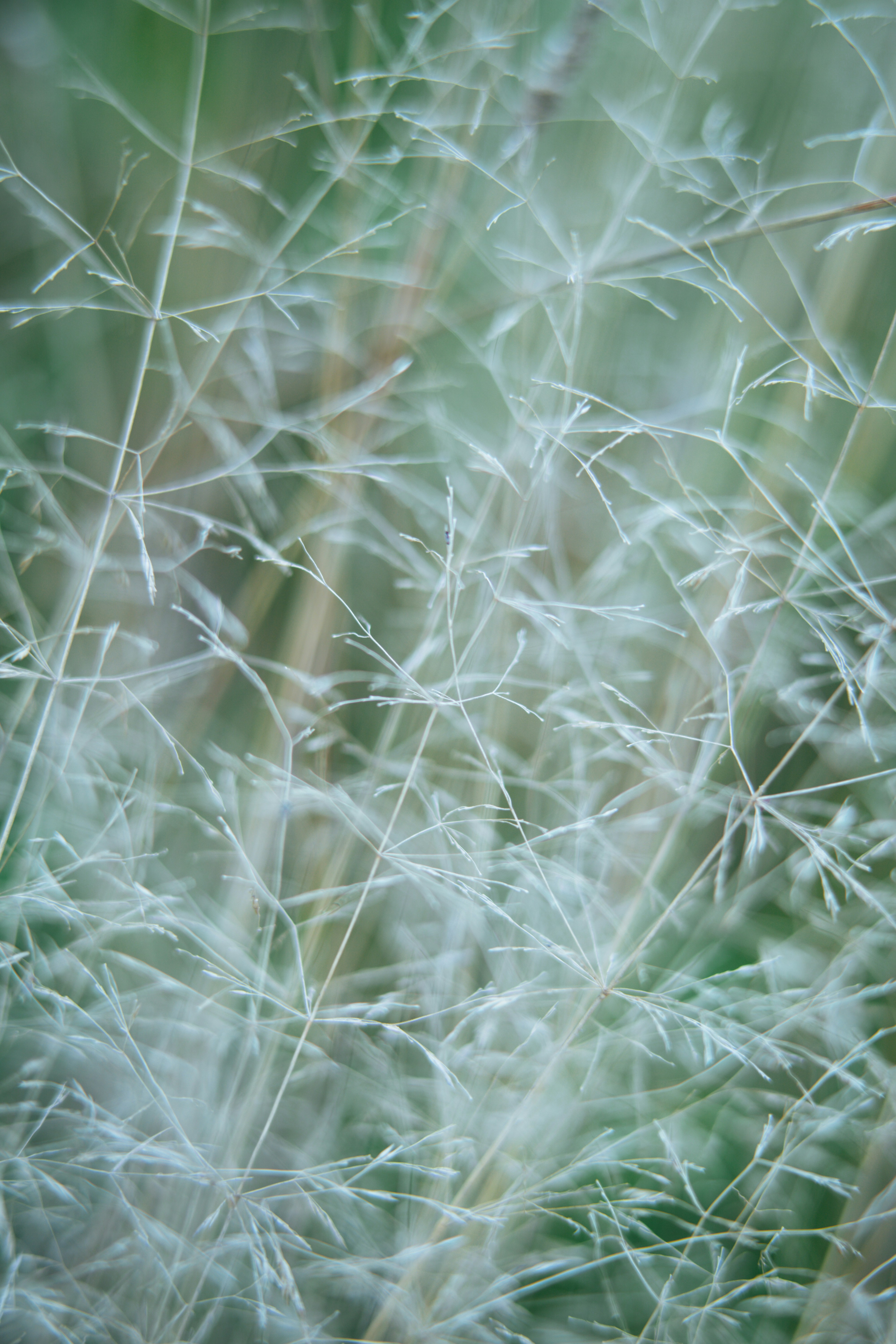 Photo by anamnesis33