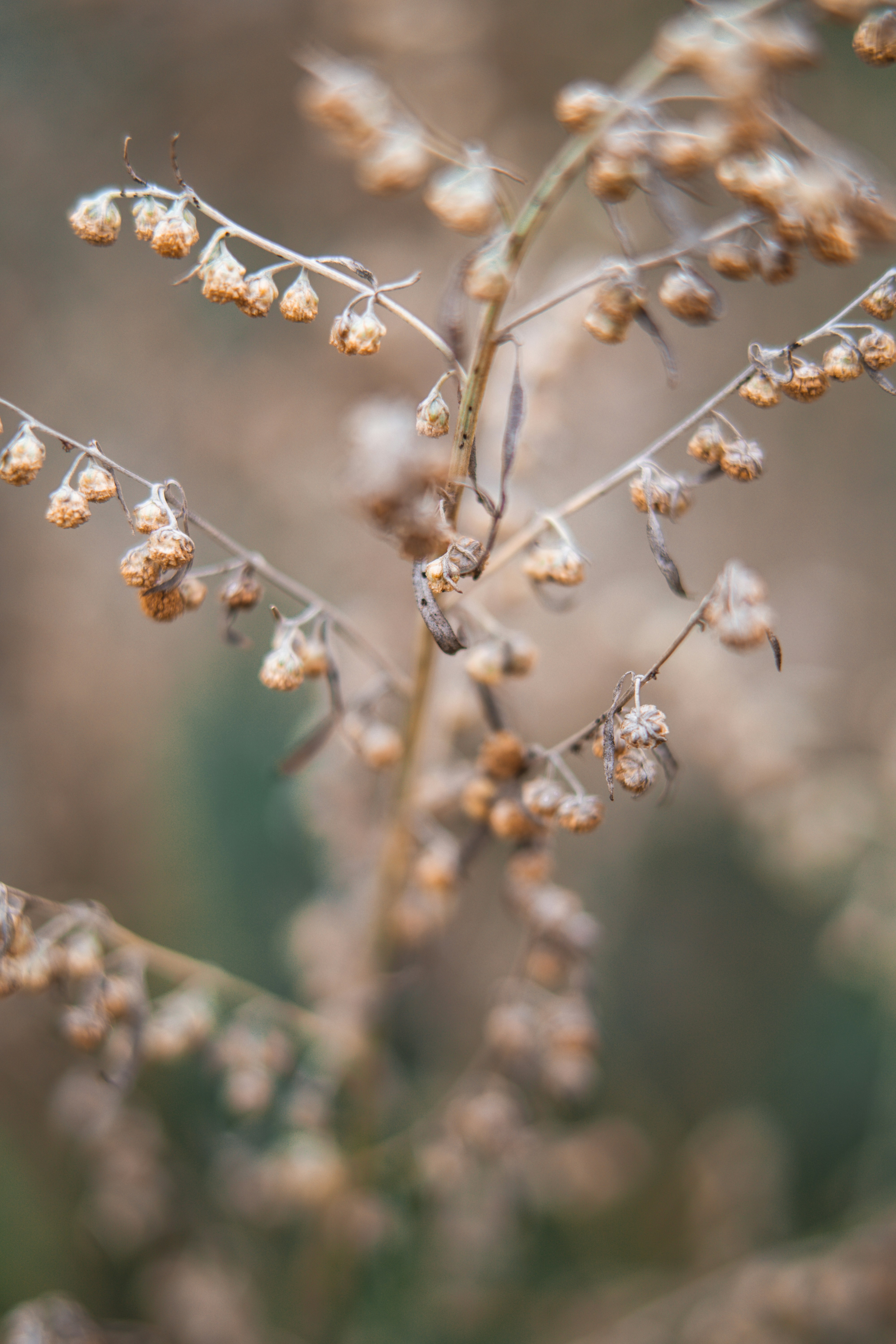 Photo by anamnesis33