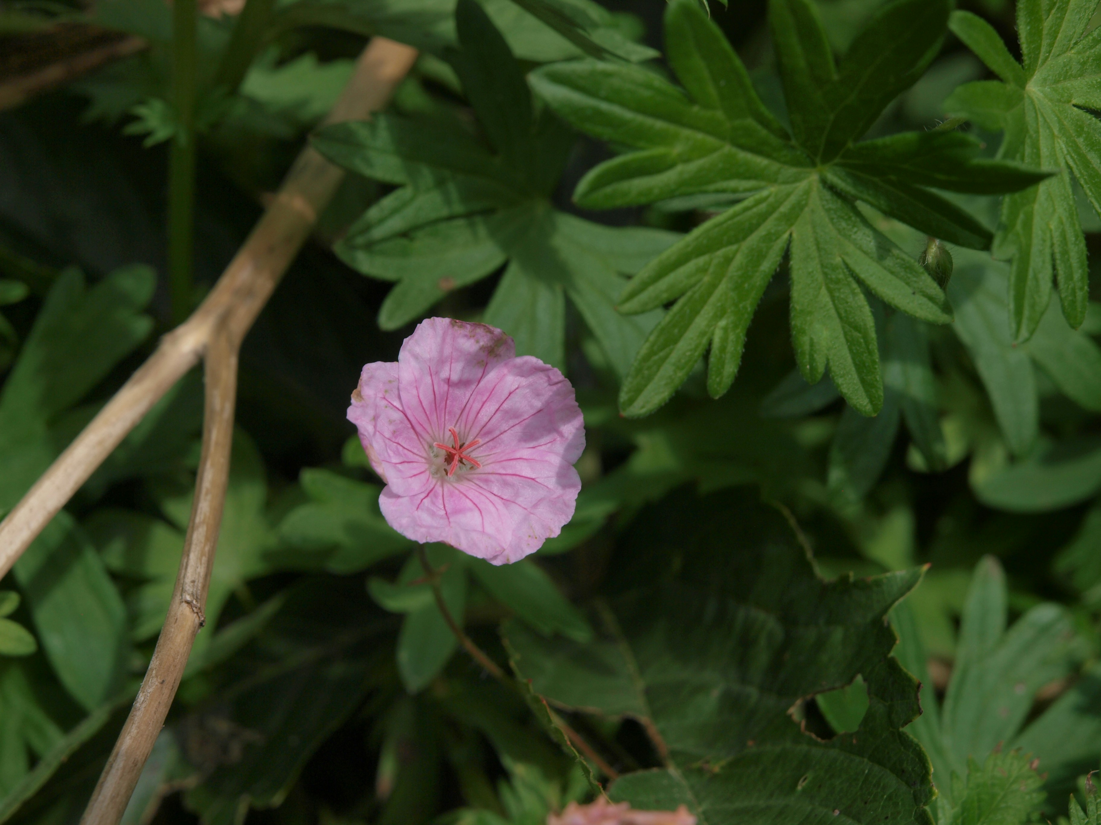 Photo by myworldisblue