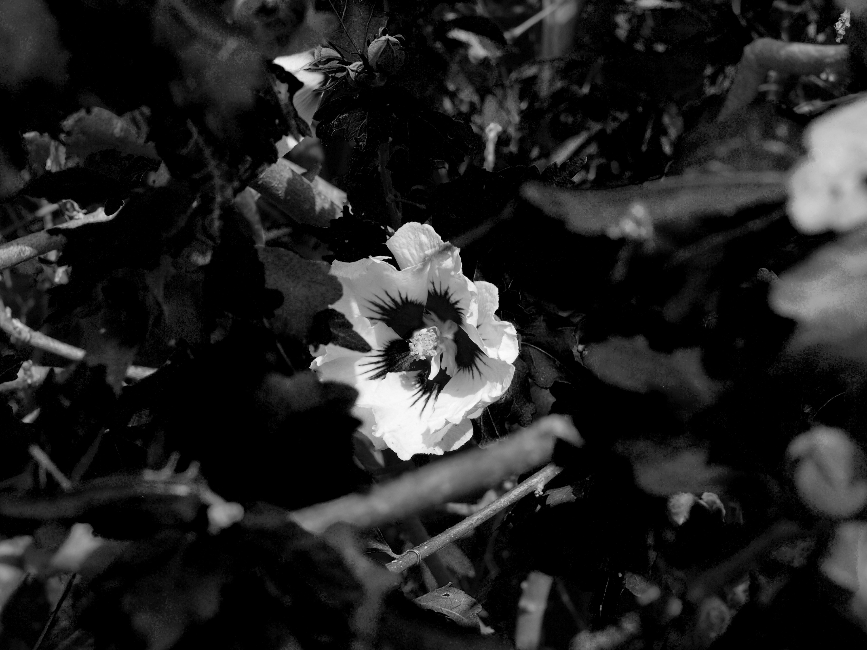 Photo by myworldisblue