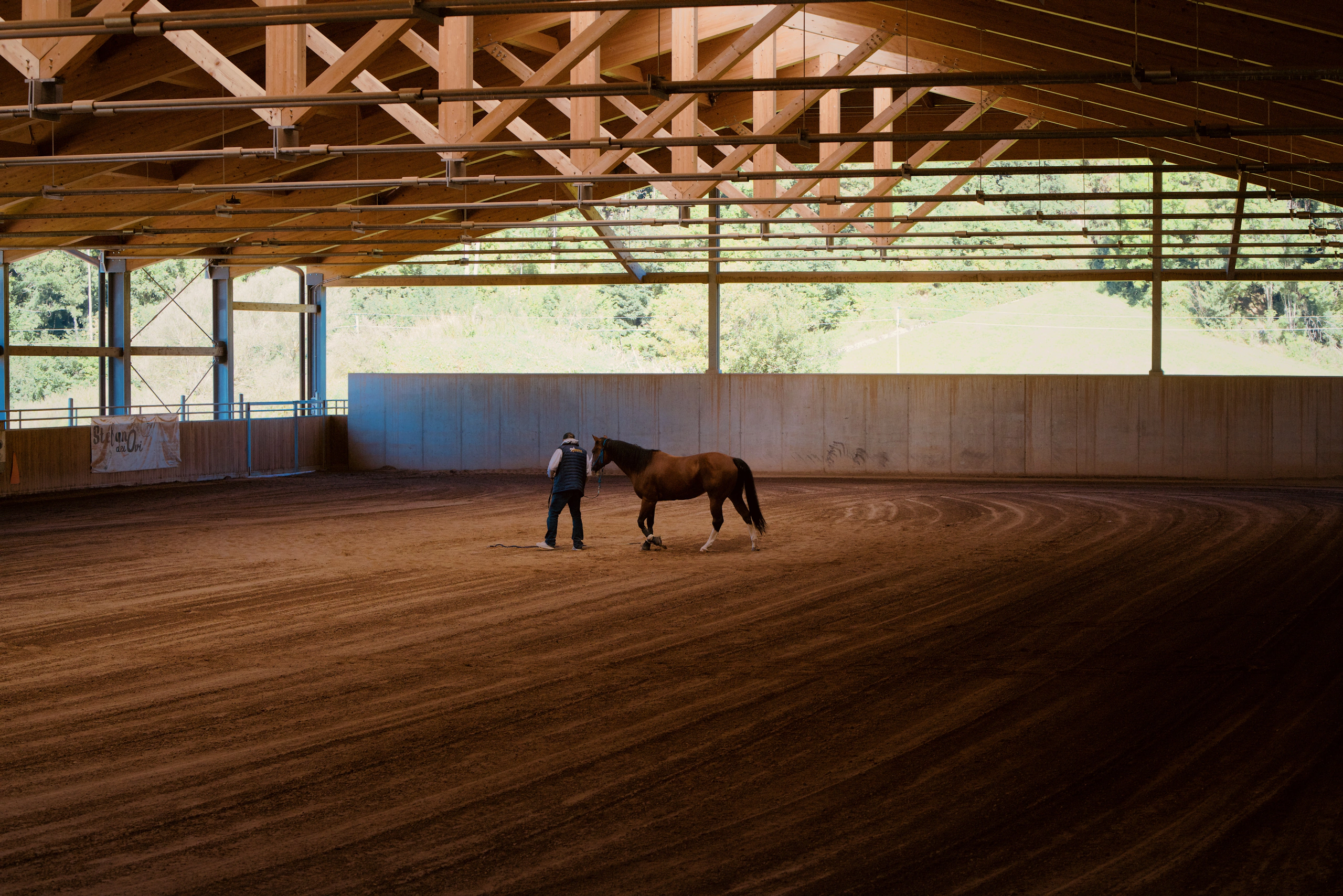 Person and horse in indoor riding arena
