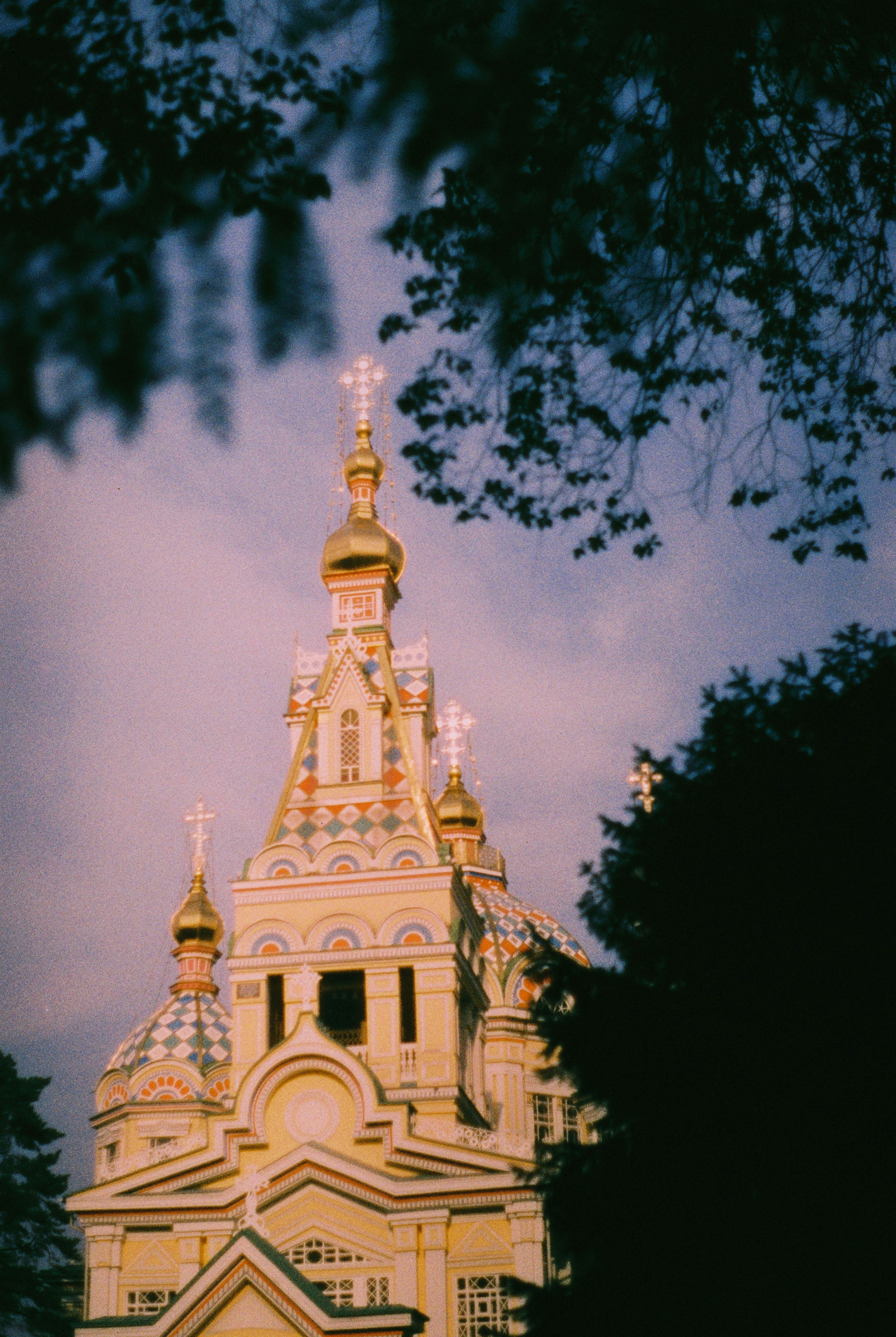 Photo by dmitrii_filatov