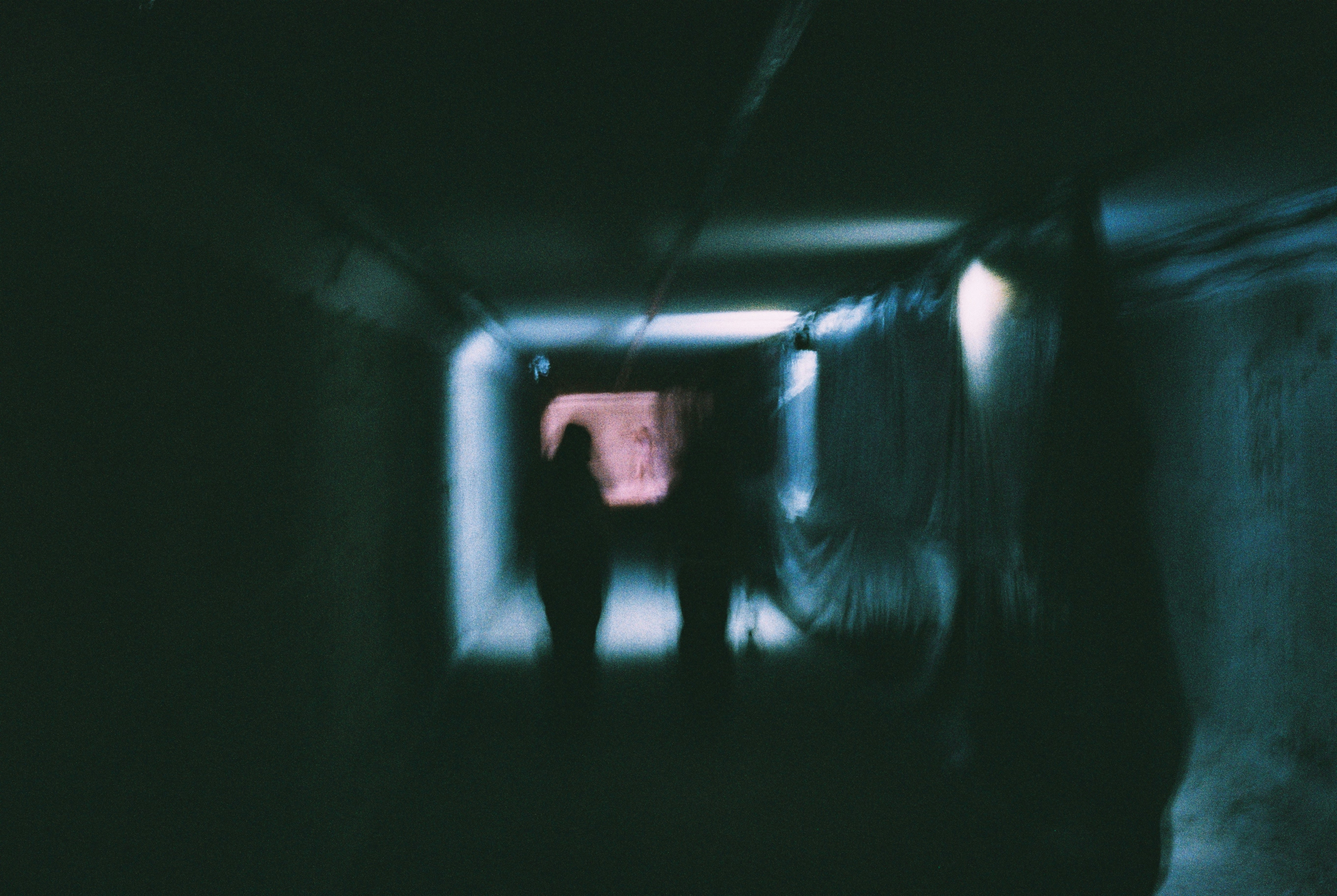 Photo by dmitrii_filatov