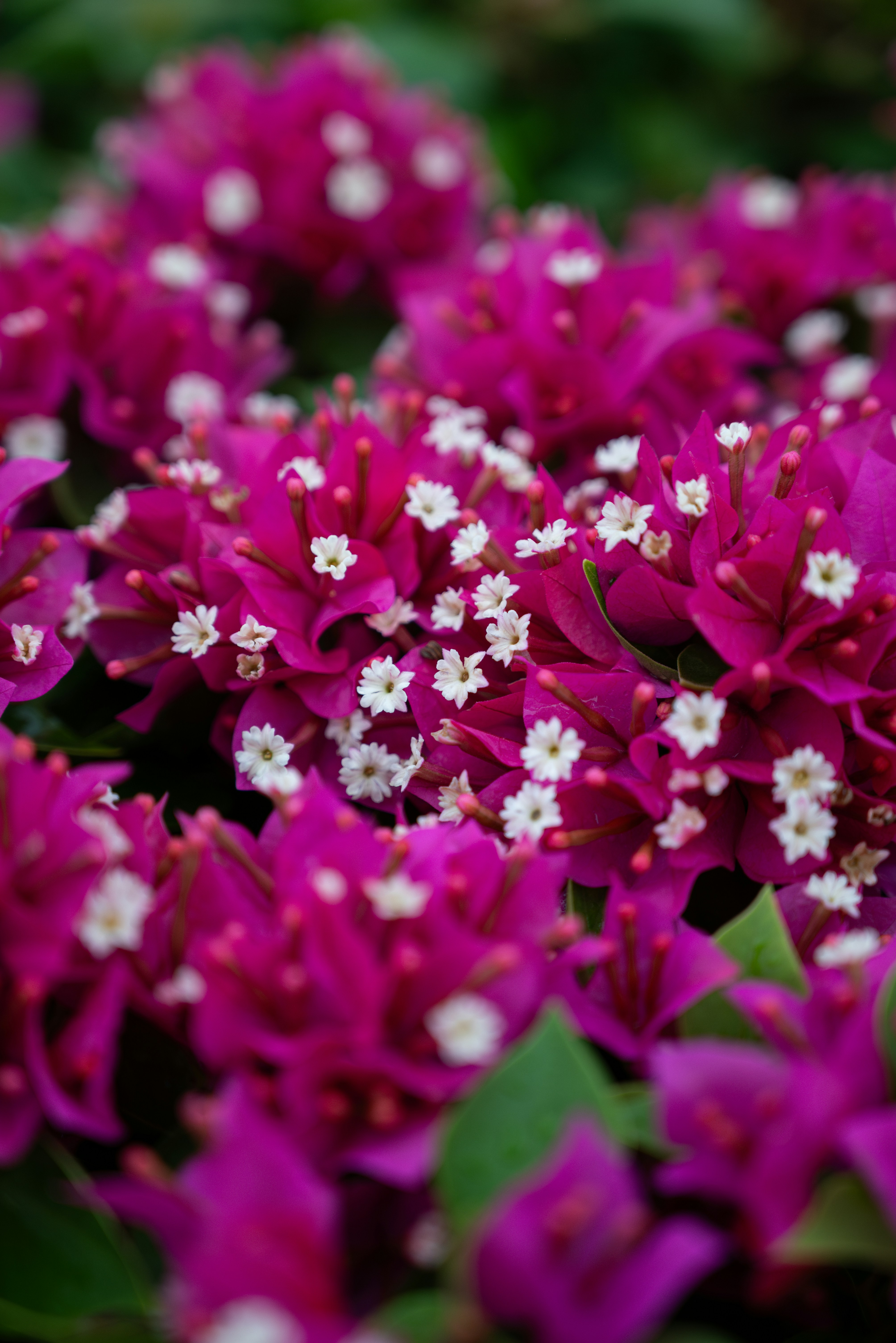 Photo by itslunar