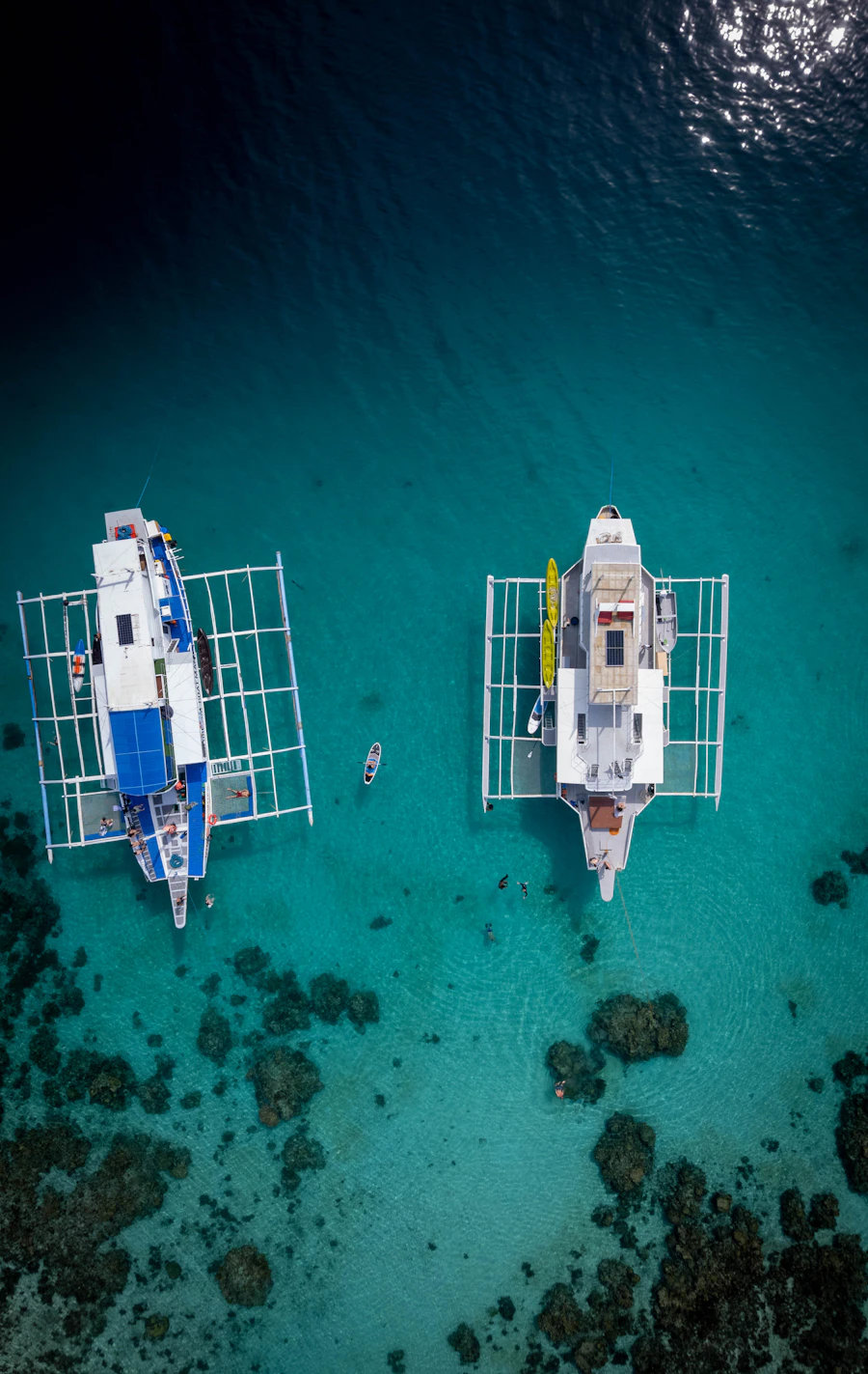 Boat Tours & Fishing