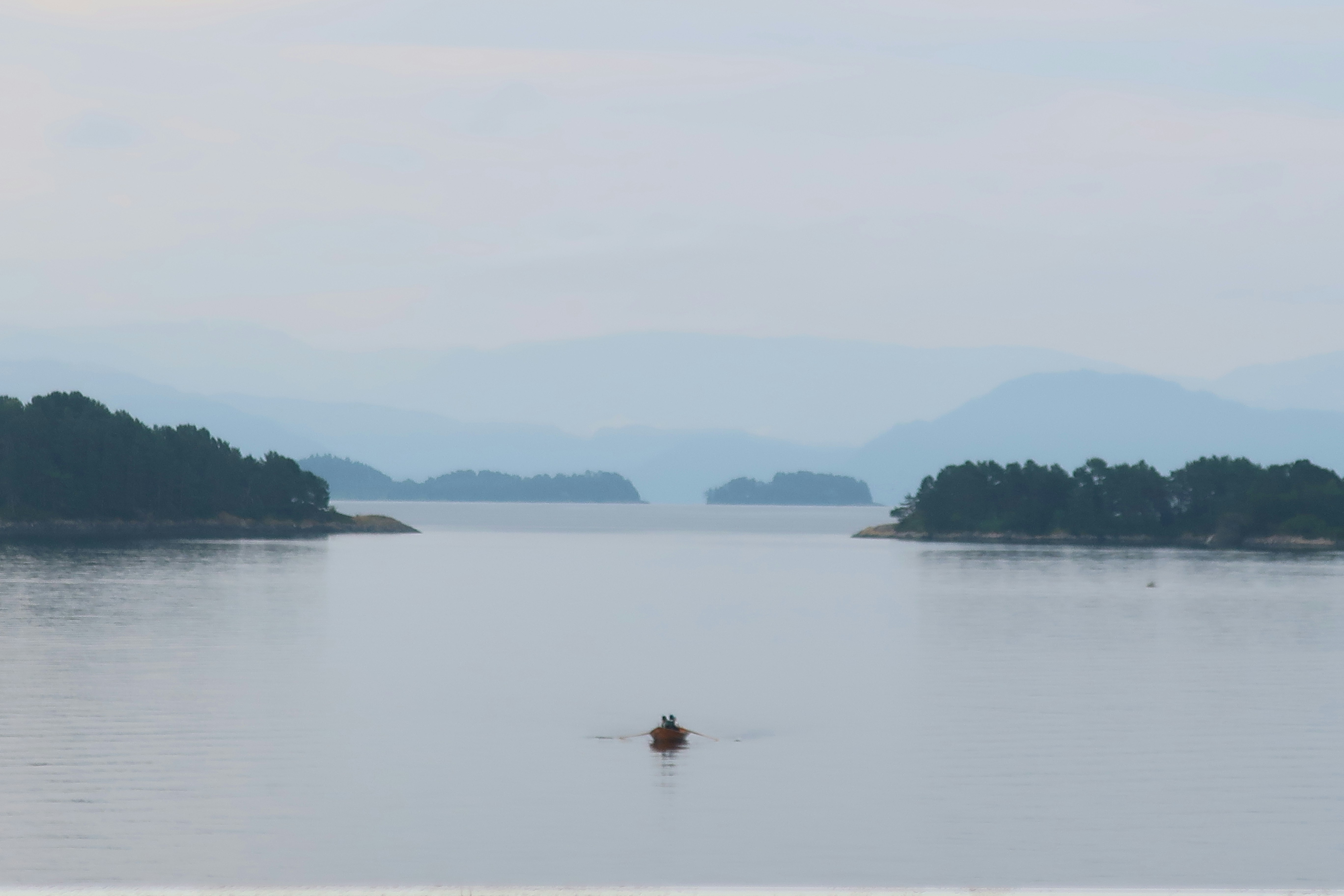 Photo by madelinedale