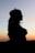 Silhouette of a woman against a sunset sky