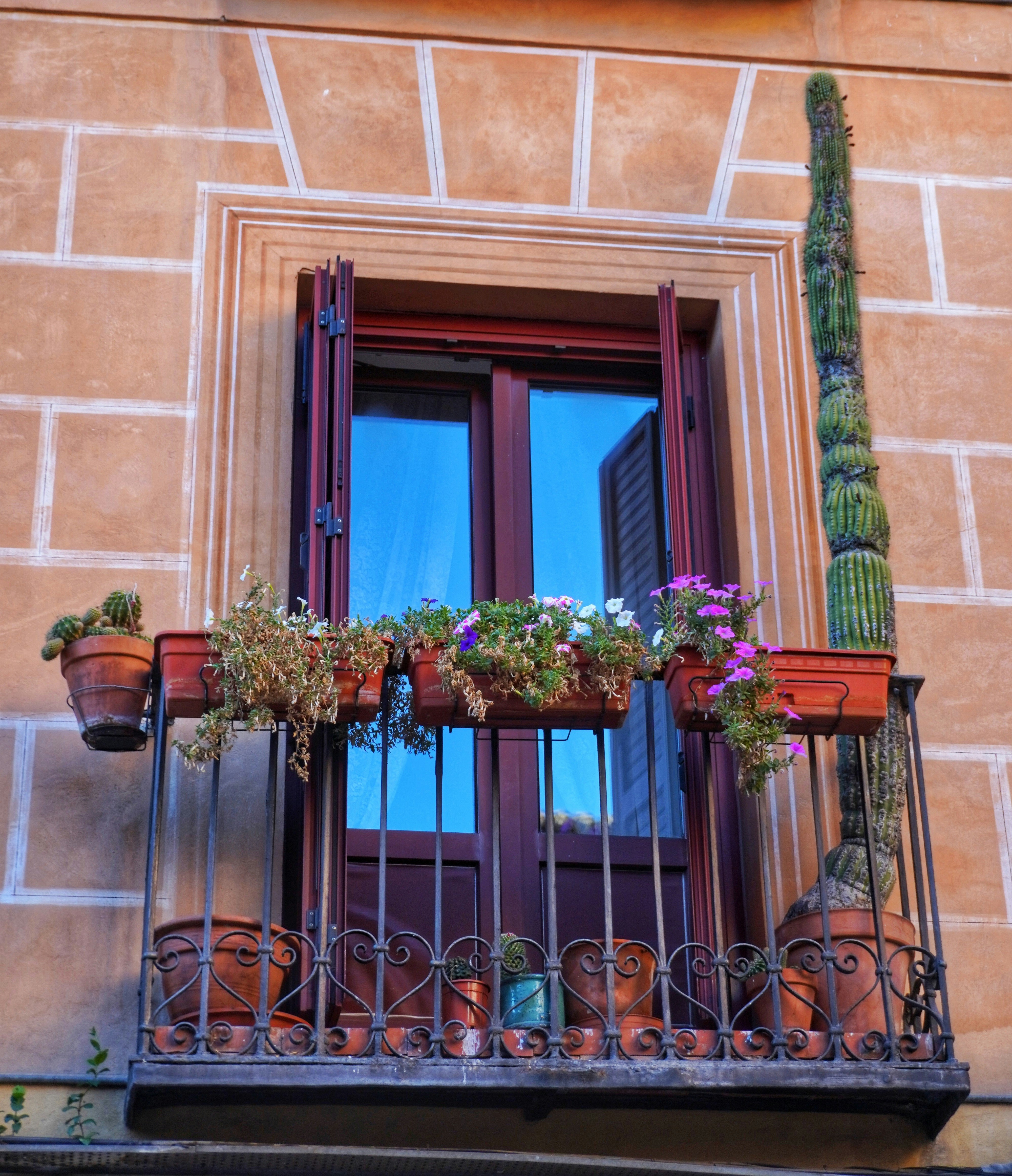 Photo by ioana_roxanna_b