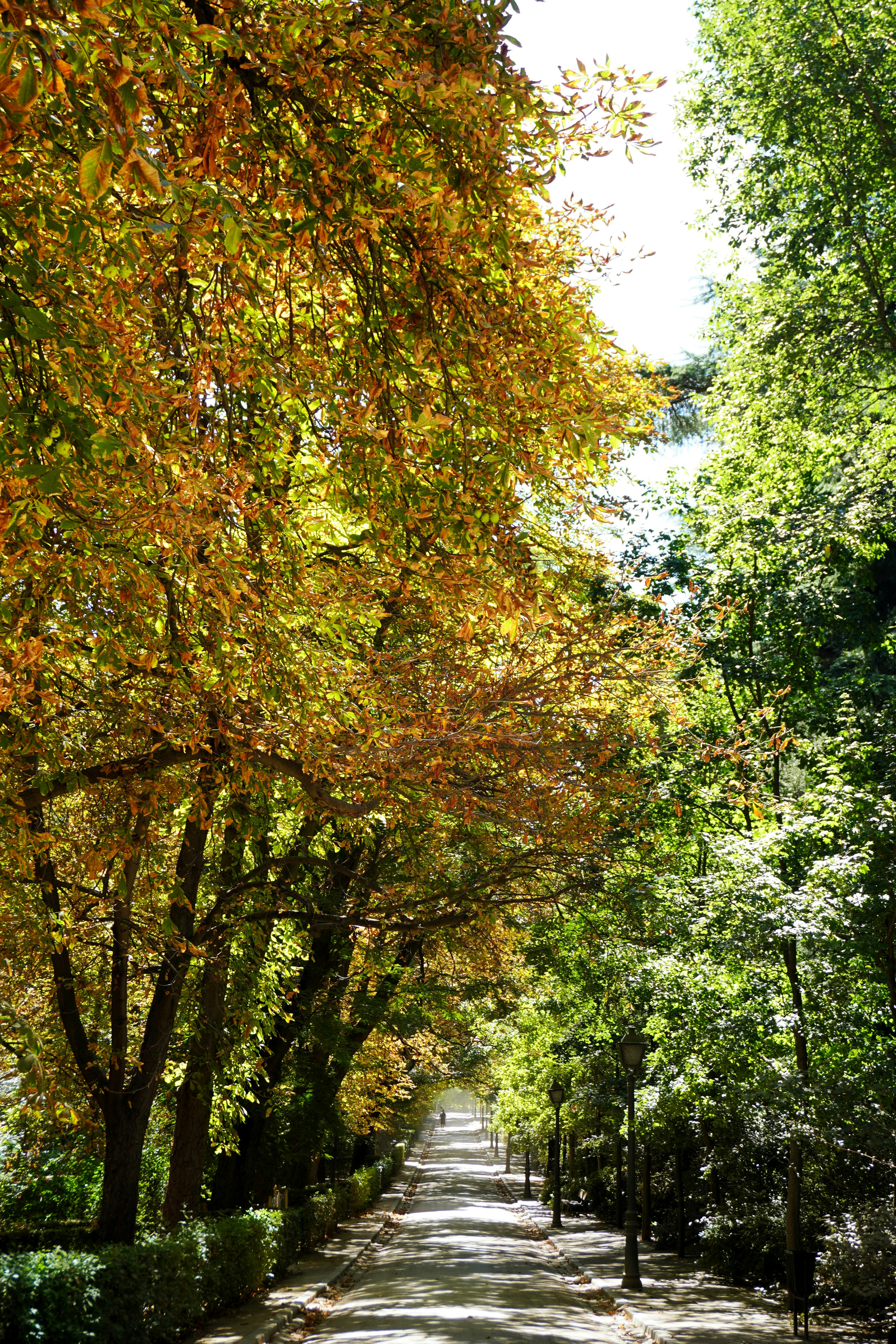 Photo by ioana_roxanna_b