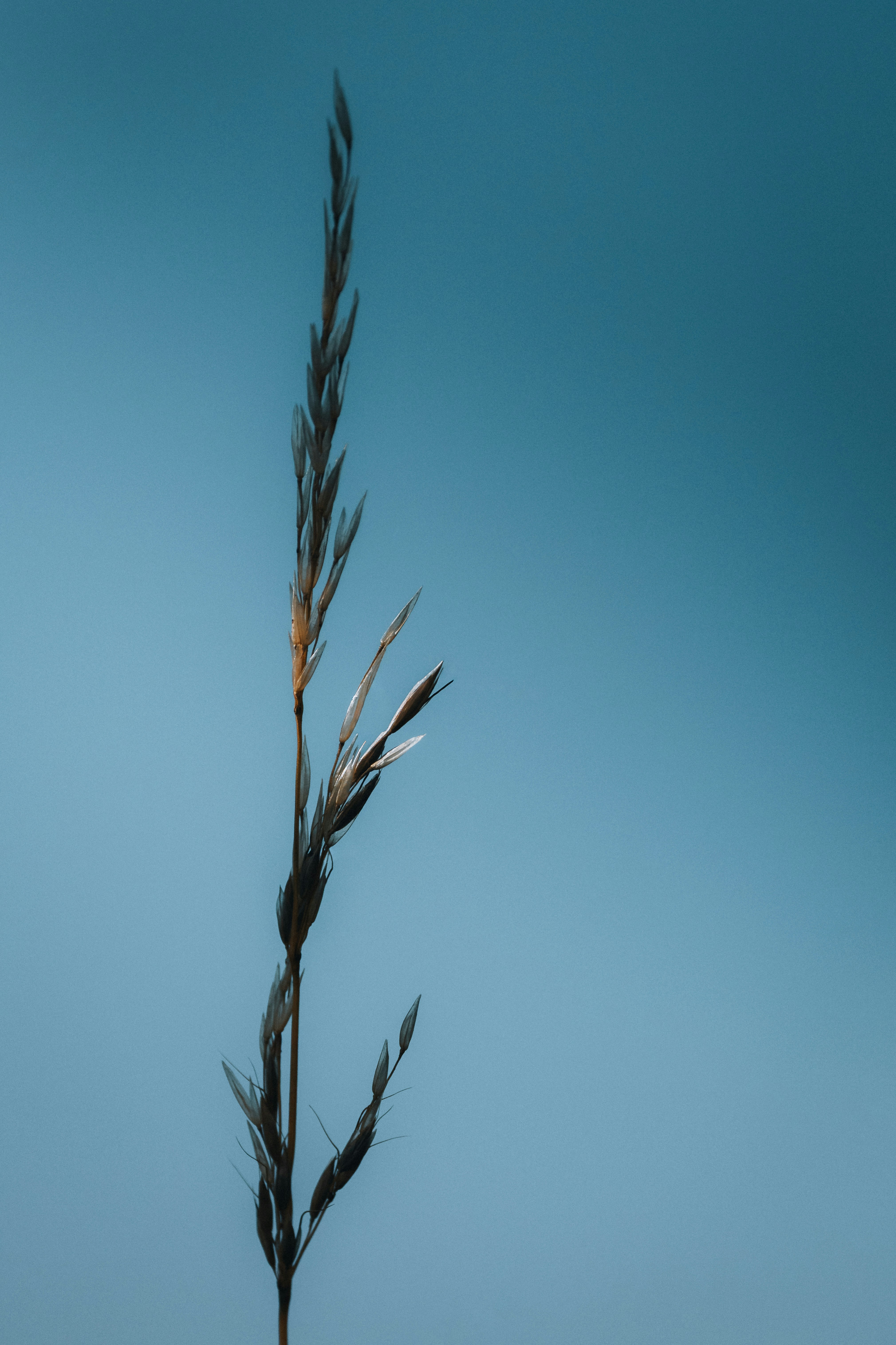 Photo by sinusfiction