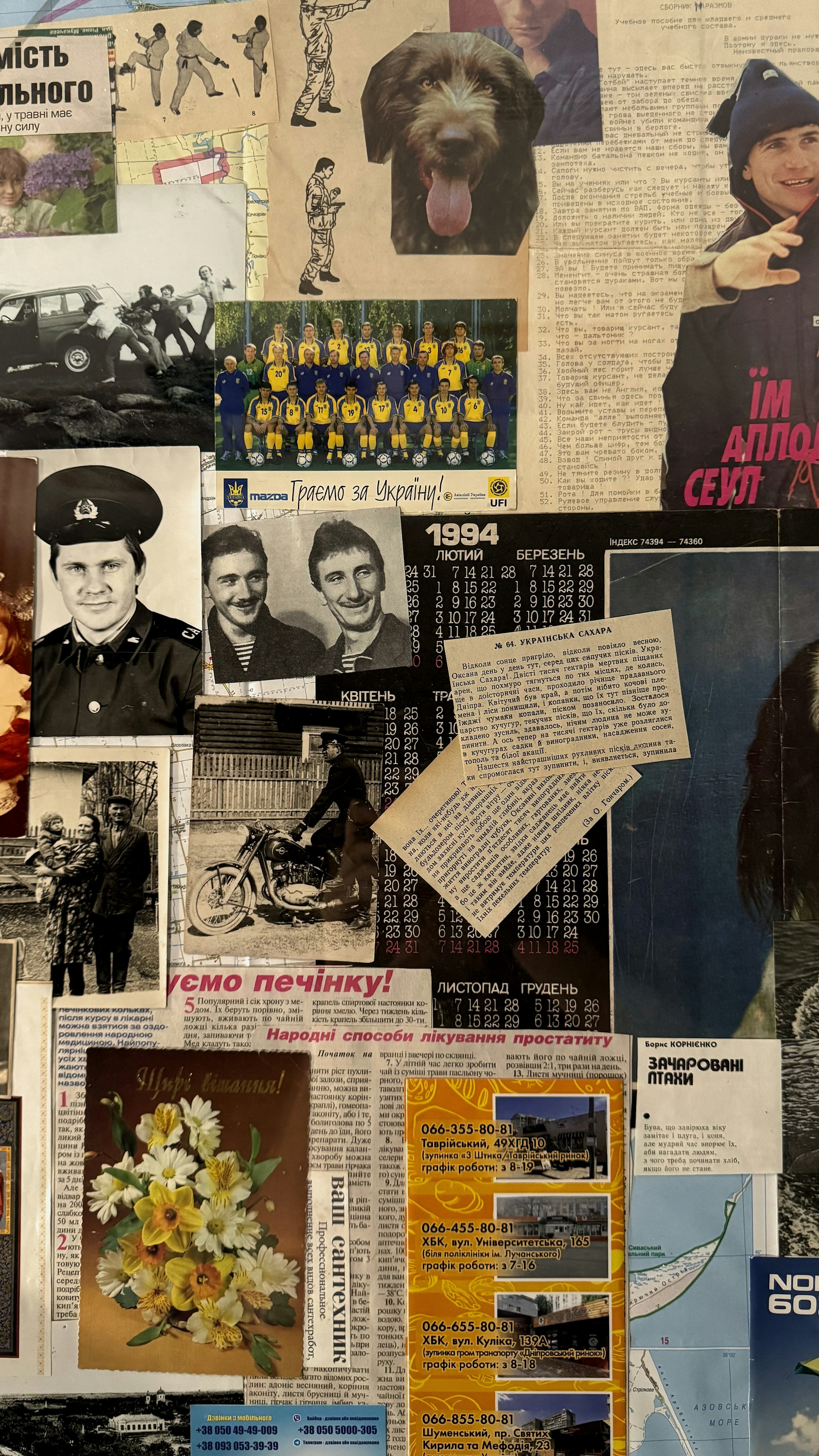 Collage of old photos, newspapers, and a dog.