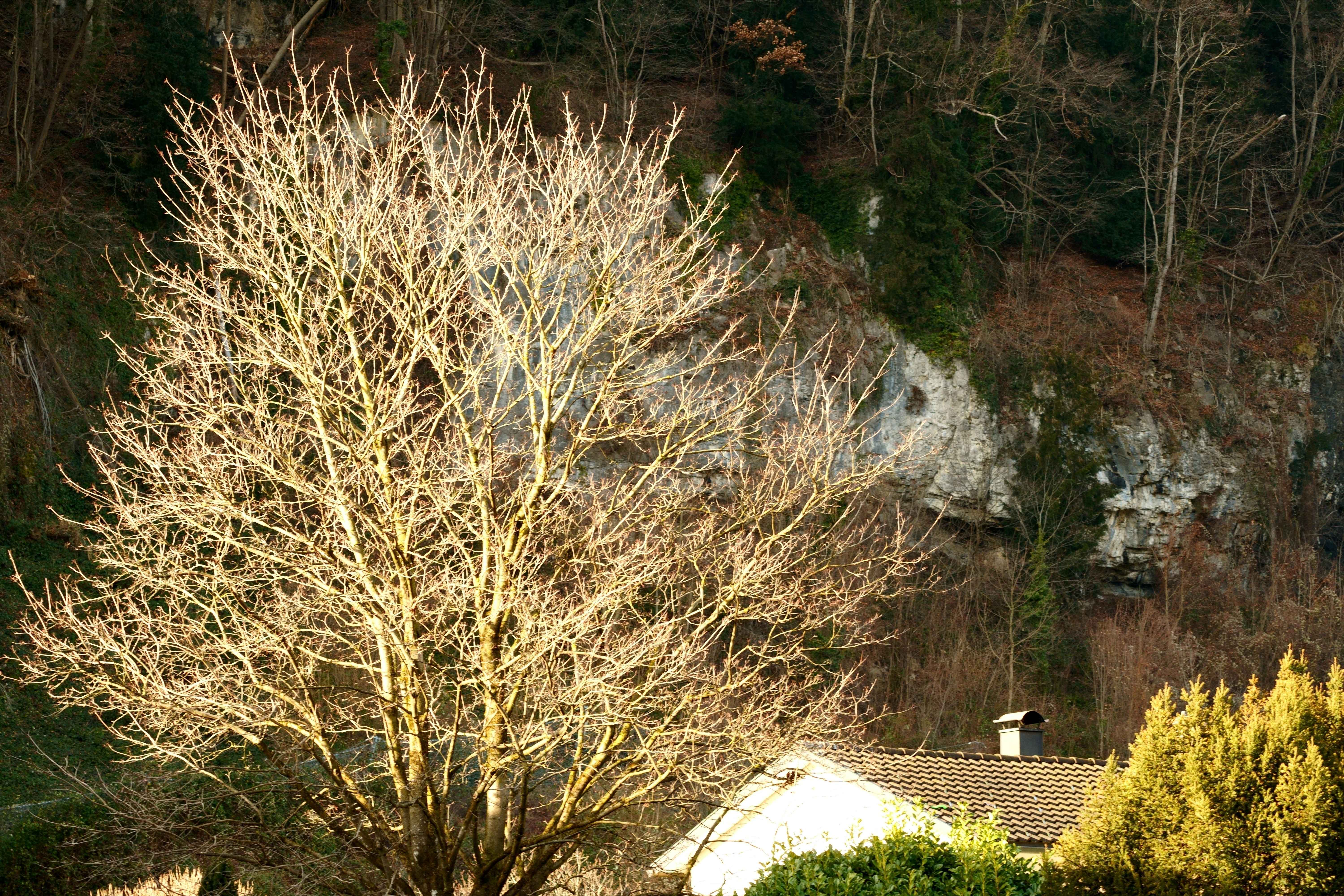 Photo by mario_fotografiert