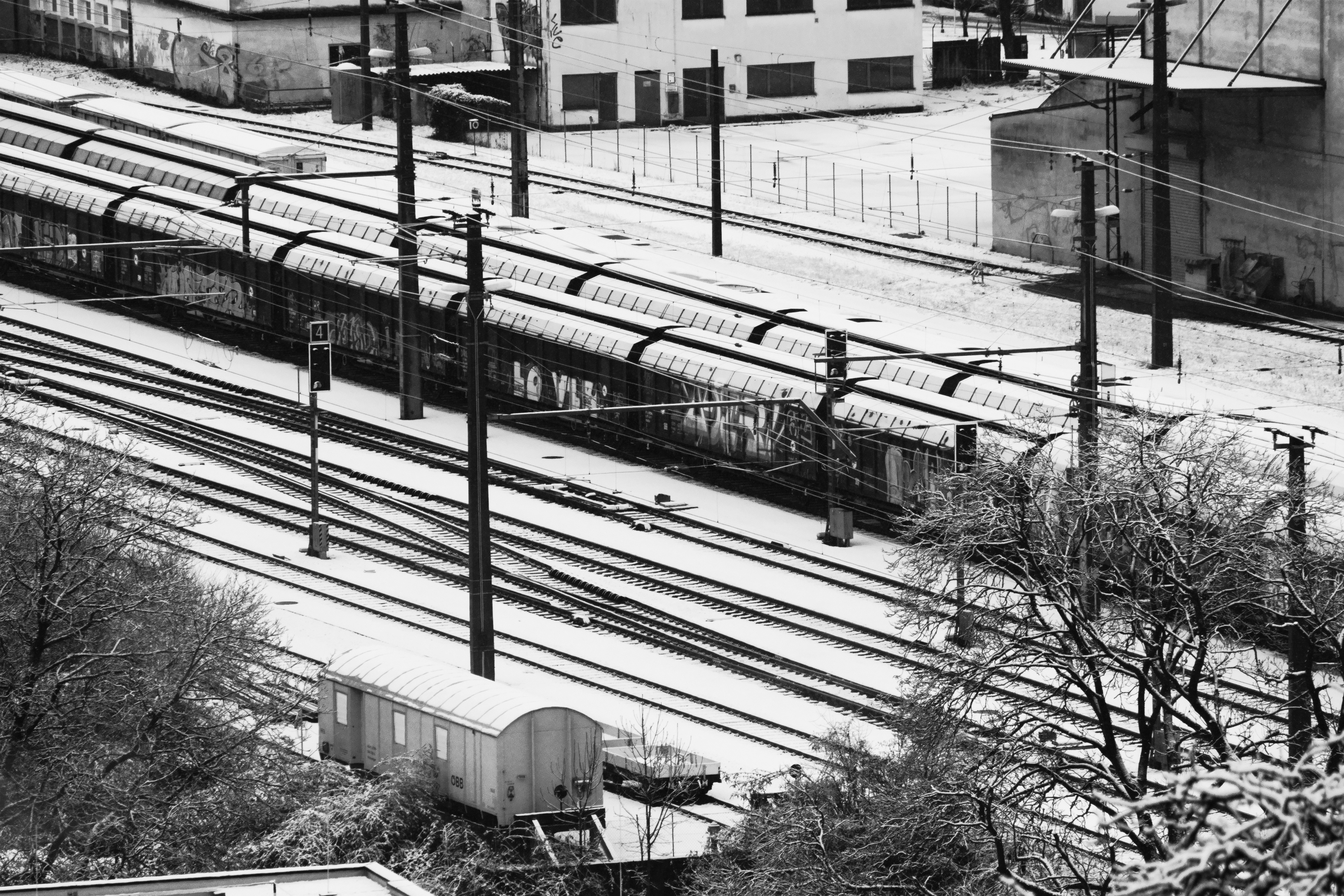 Photo by mario_fotografiert