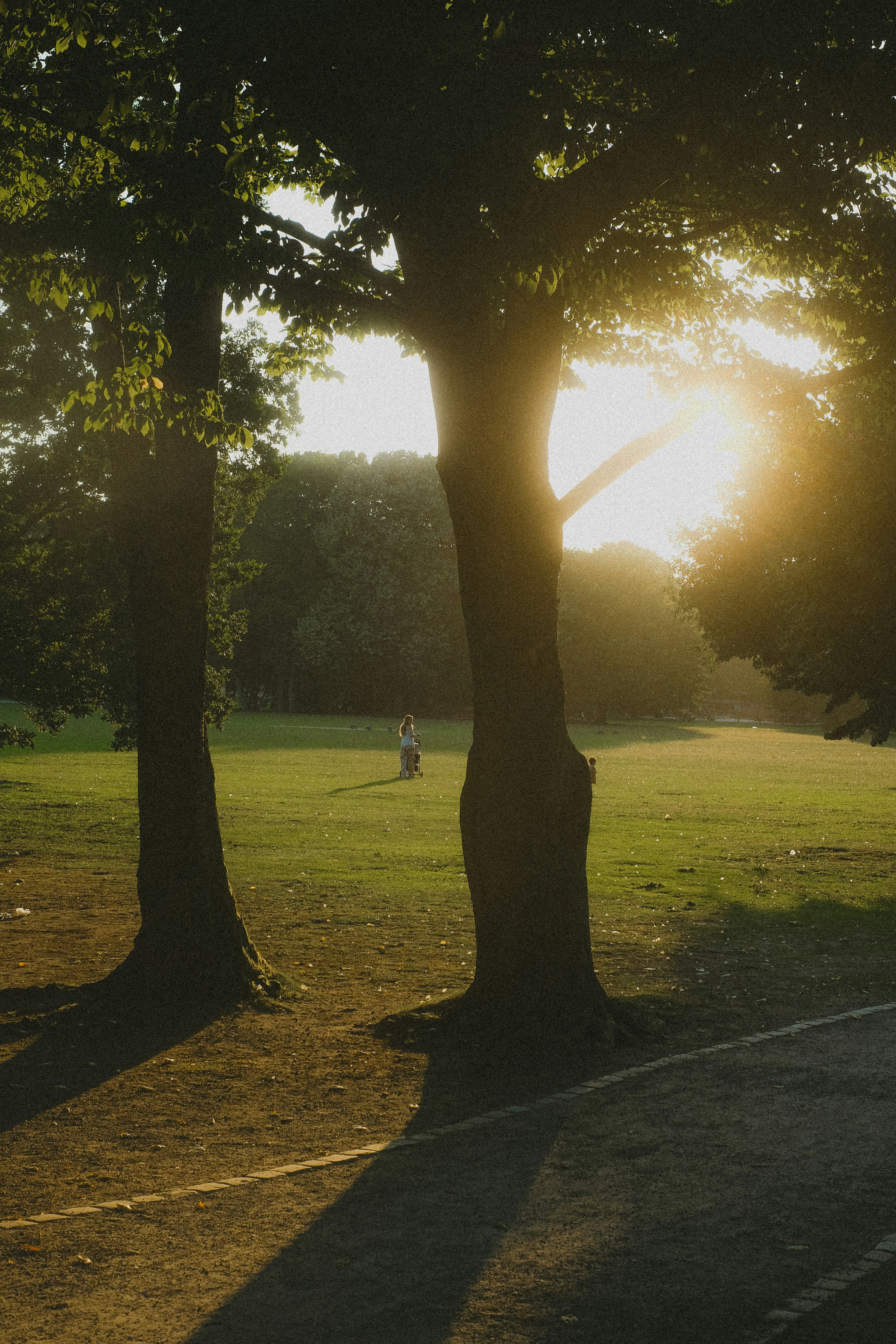 Photo by alicharmant