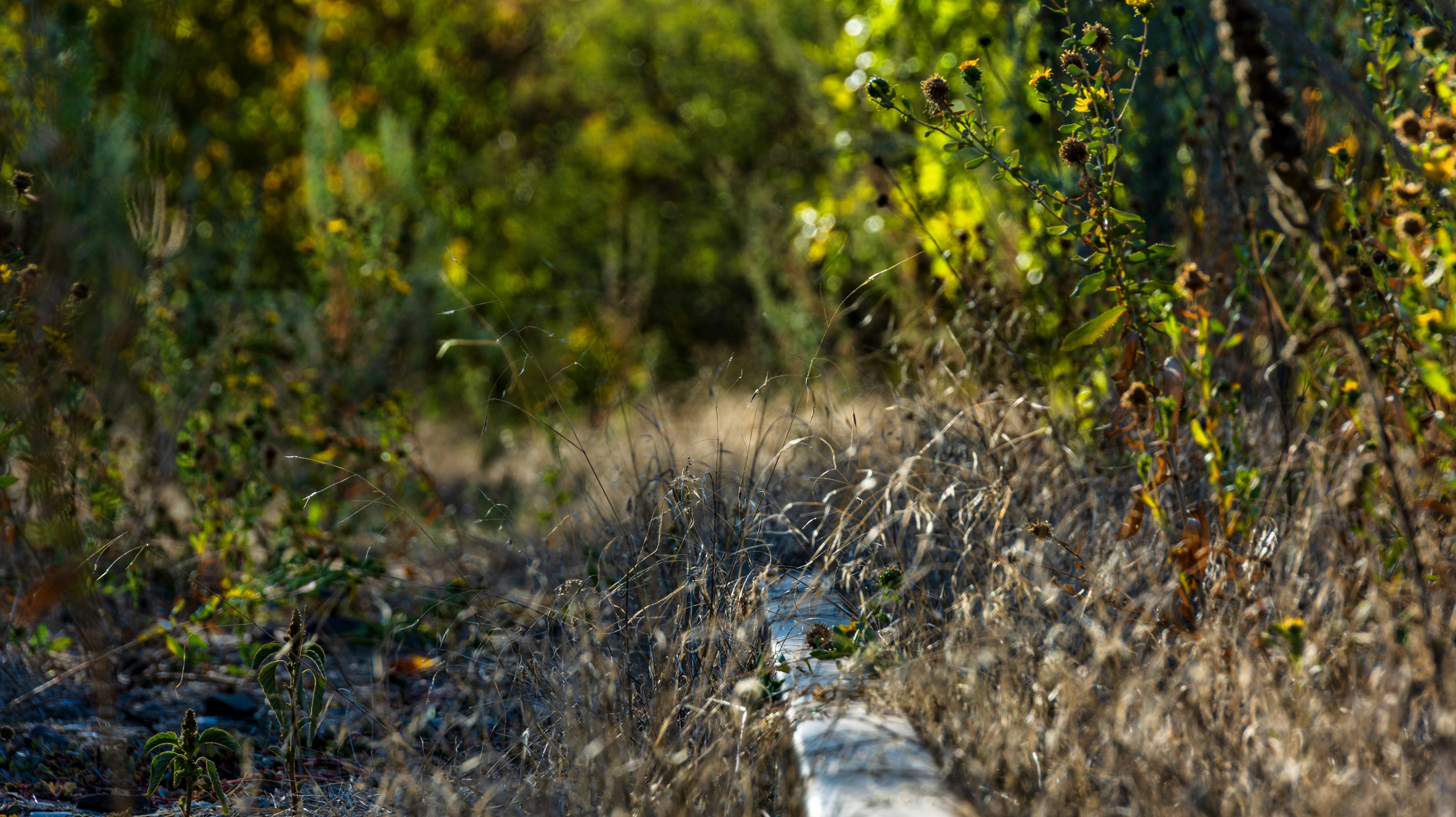 Skandal: Nya konstgräset på Bårsta IP rivs upp bara sex månader efter invigningen!