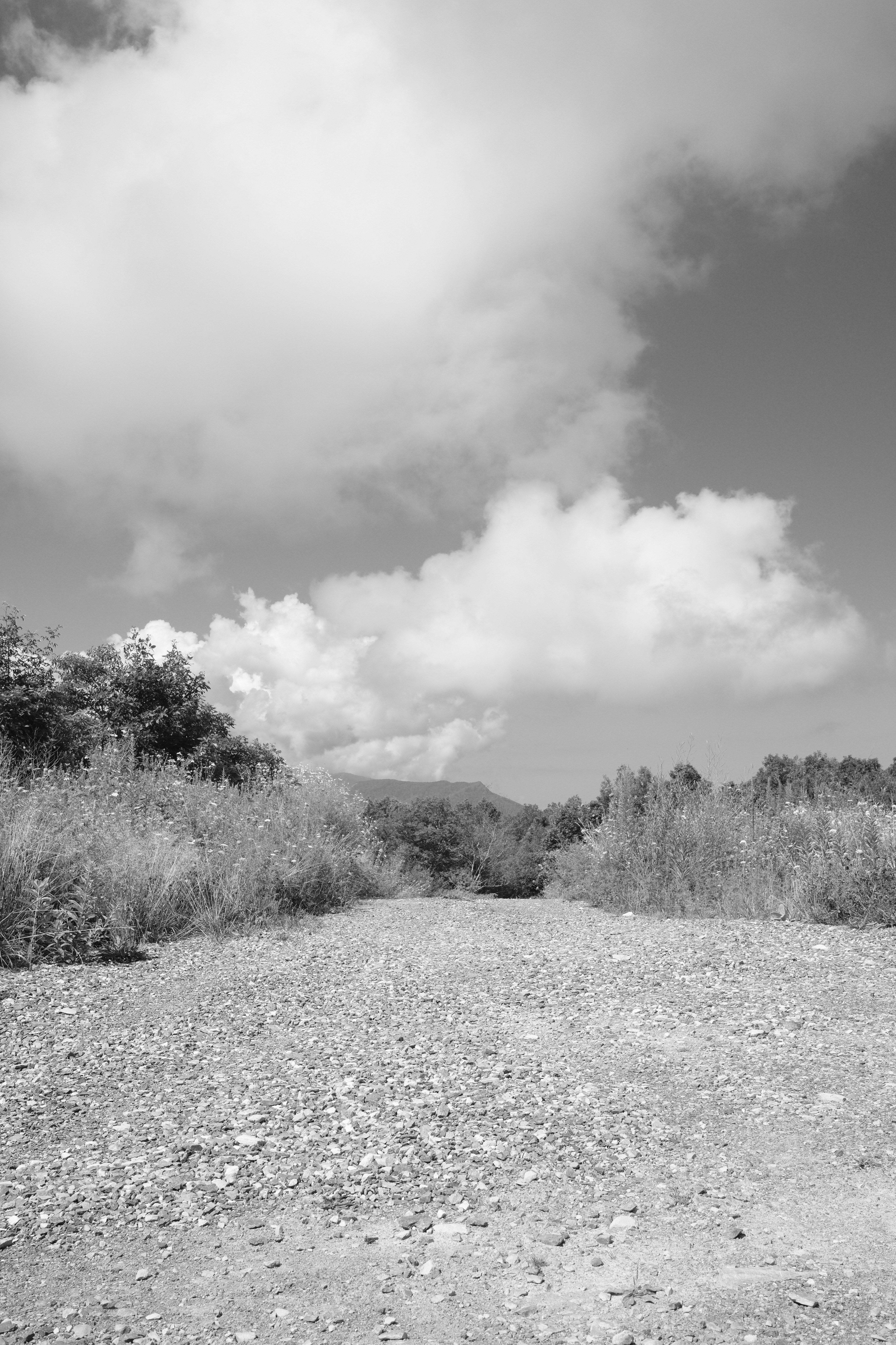 Photo by leonbredella